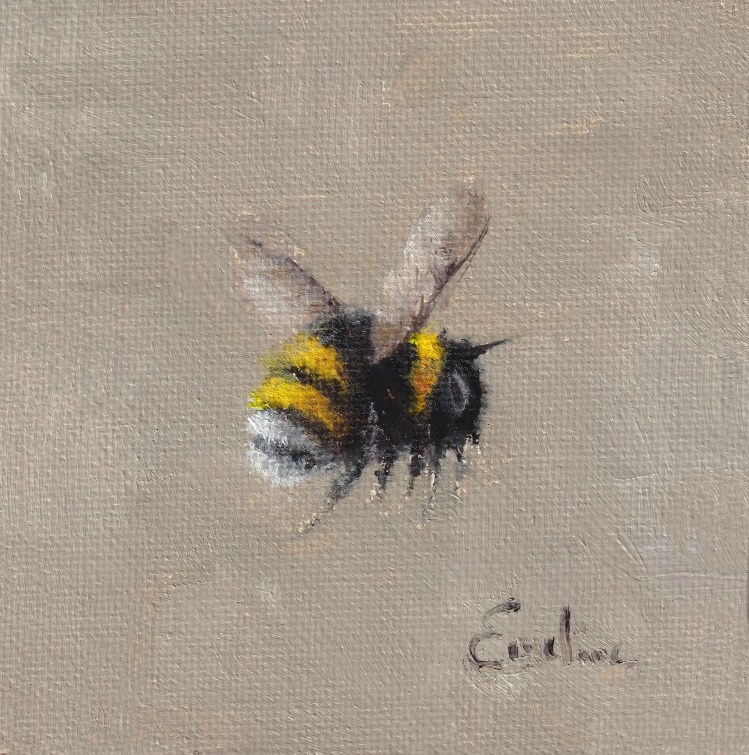IN002 Piglet's Bumblebee 4x4 low res .jpg