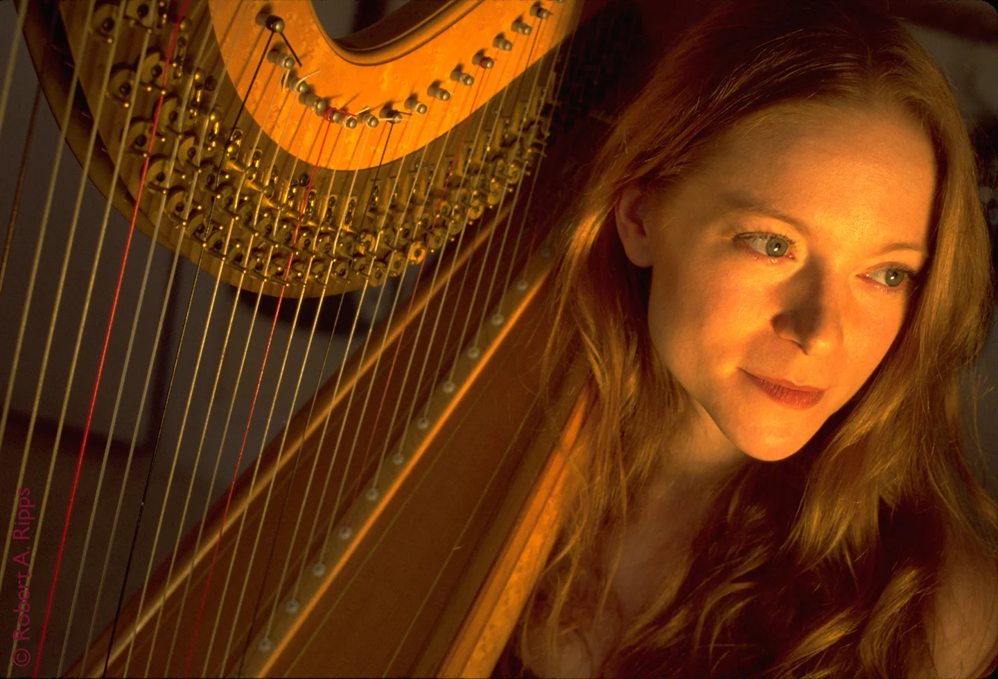 Erin Hill_Ripps_56.2_Harp Town cover_2018_smaller.jpg