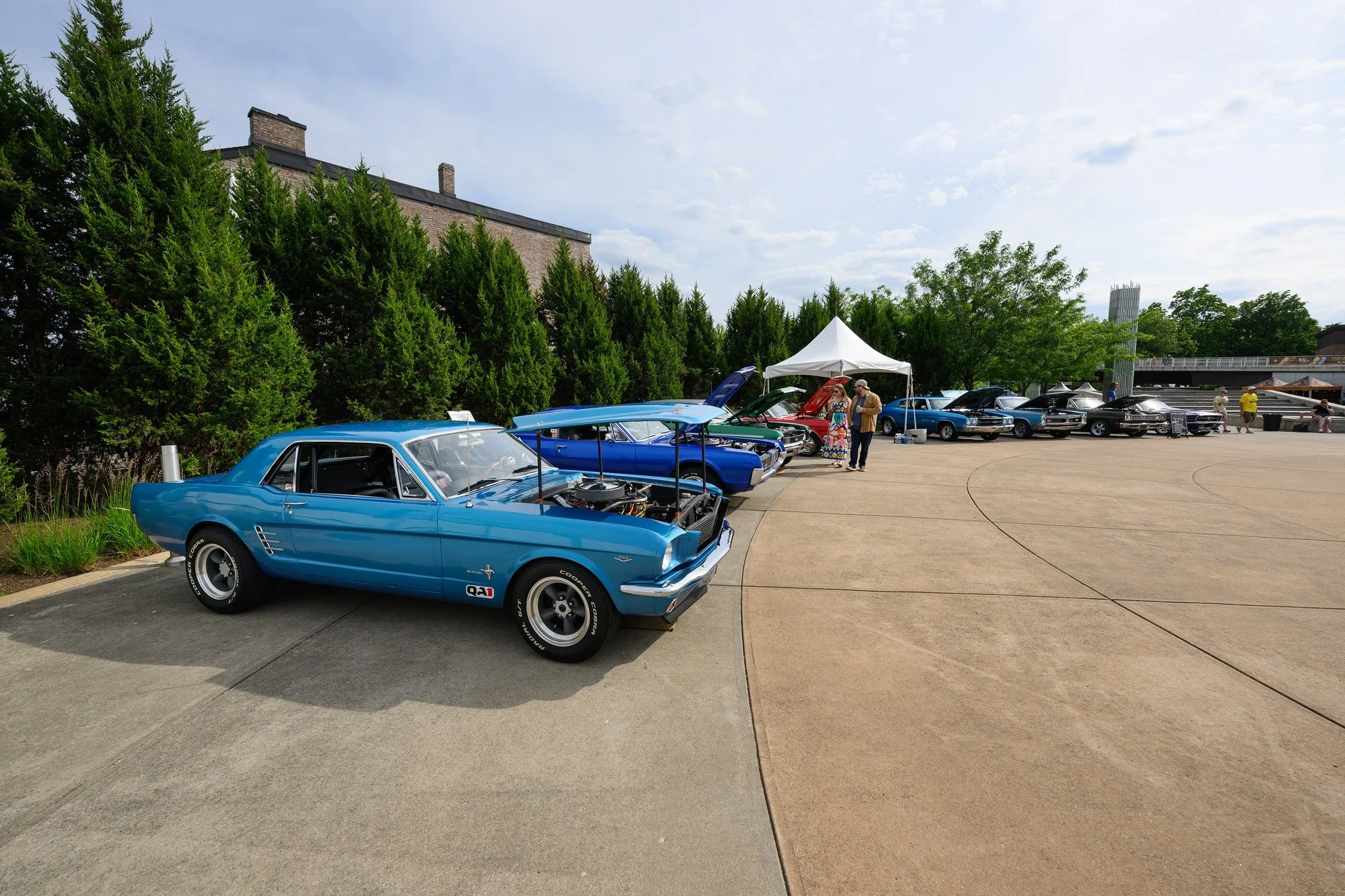car show.jpg