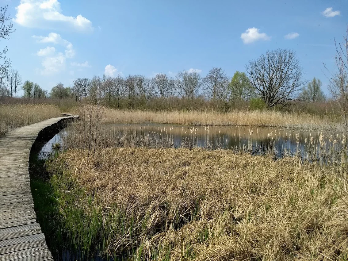Het atelier is 900 meter van het Beekbergerwoud . ( oerbos in ontwikkeling)