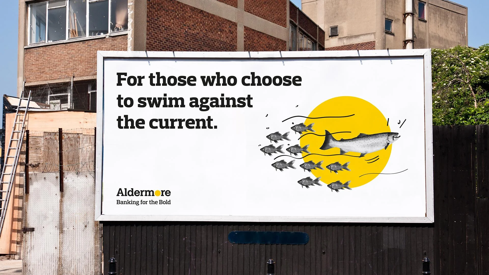 Aldermore_148.jpg