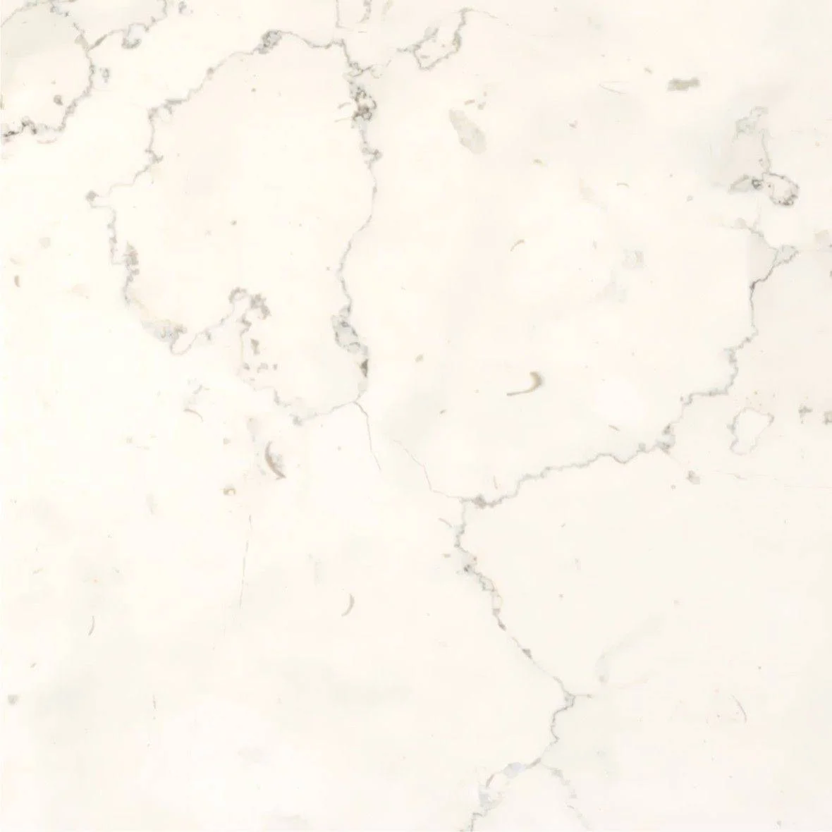 Perlino Bianco