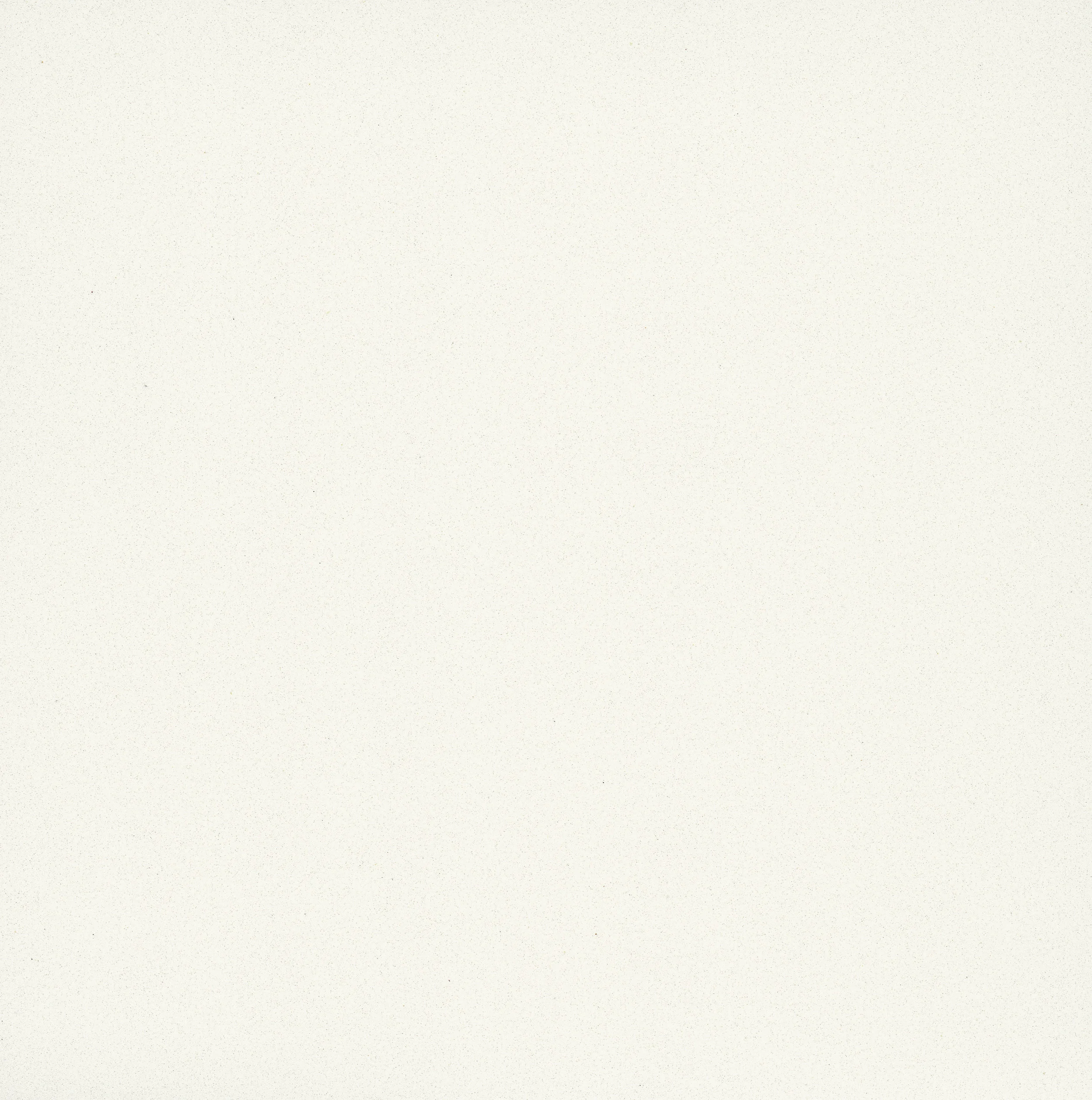 2141H - Snow
