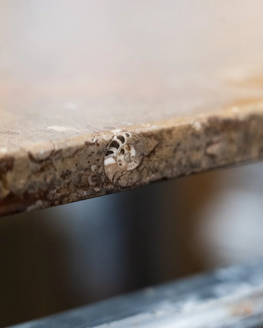 Naturens poesi ⁠
⁠
Fossil Brown er fyldt med spor fra et liv, der fandtes for millioner af &aring;r siden. Sneglehuse, bl&aelig;ksprutter ligger bevaret i stenen som sm&aring; fort&aelig;llinger fra fortidens havbund.⁠
⁠
Det er ikke noget, der bliver