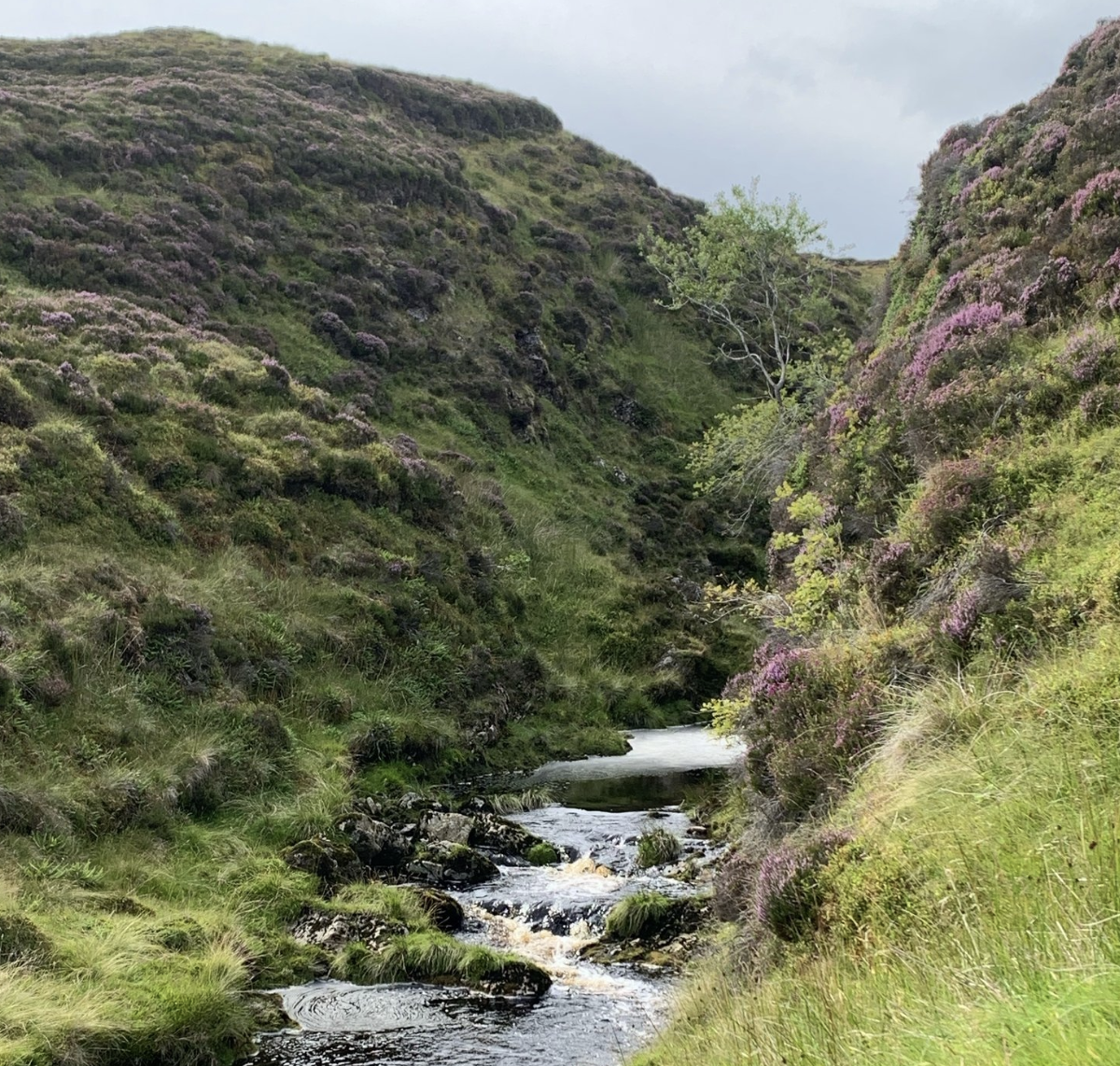 SCOTTISH GOLD HUNTING