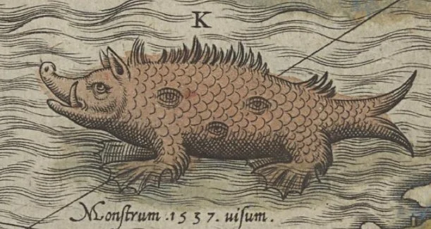 Sea-Swine-56.jpg