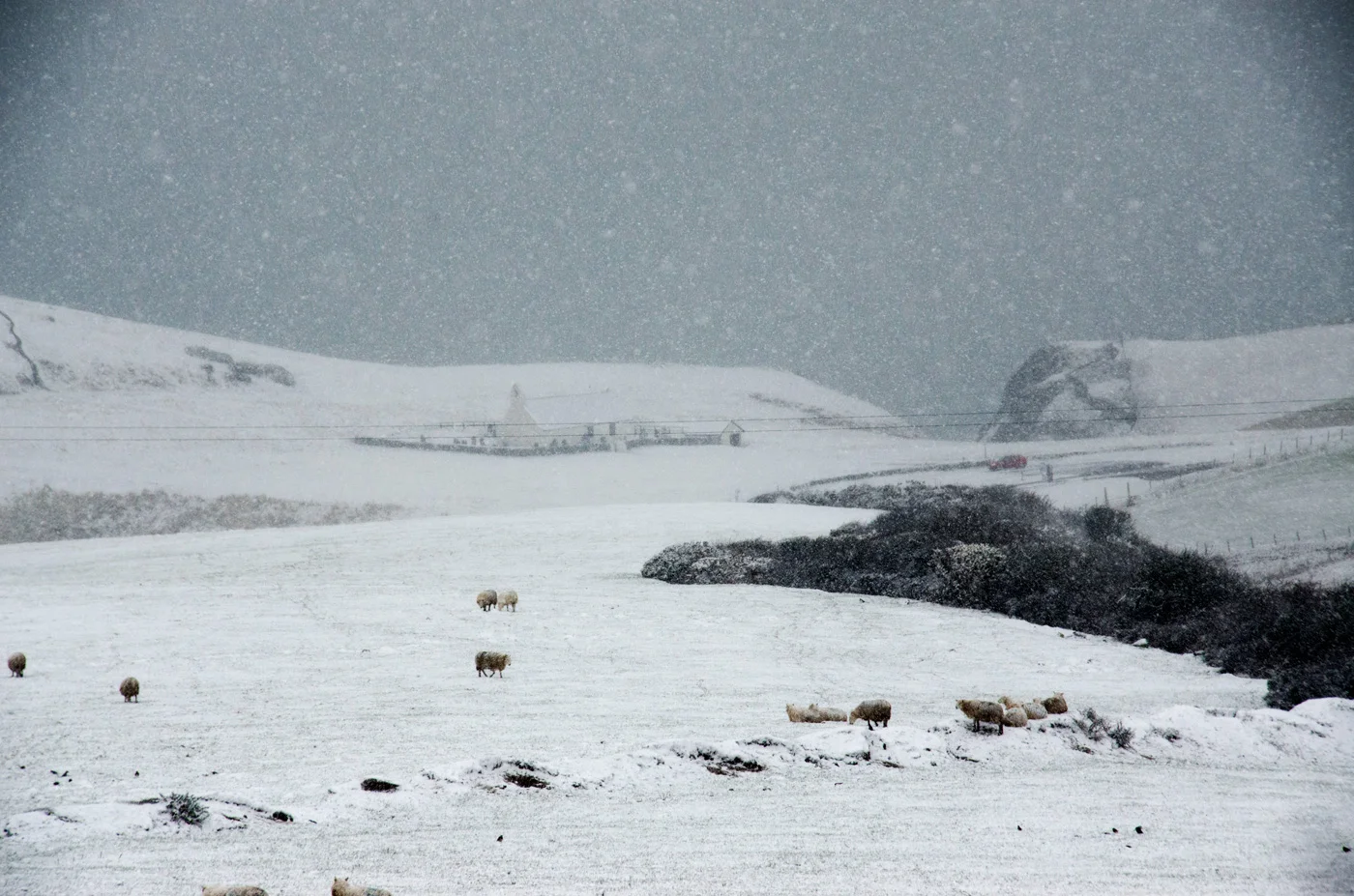 snow-in-feb2018.jpg