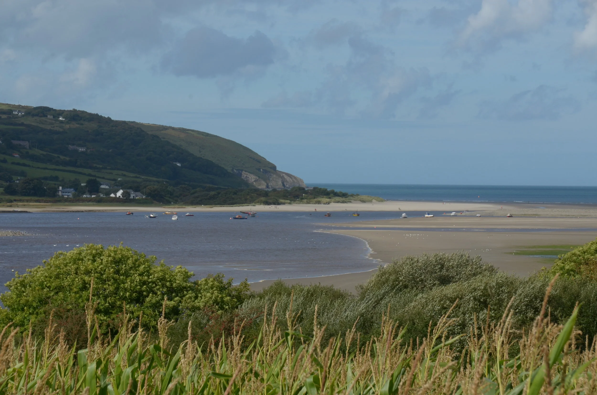 DSC_2982.jpg