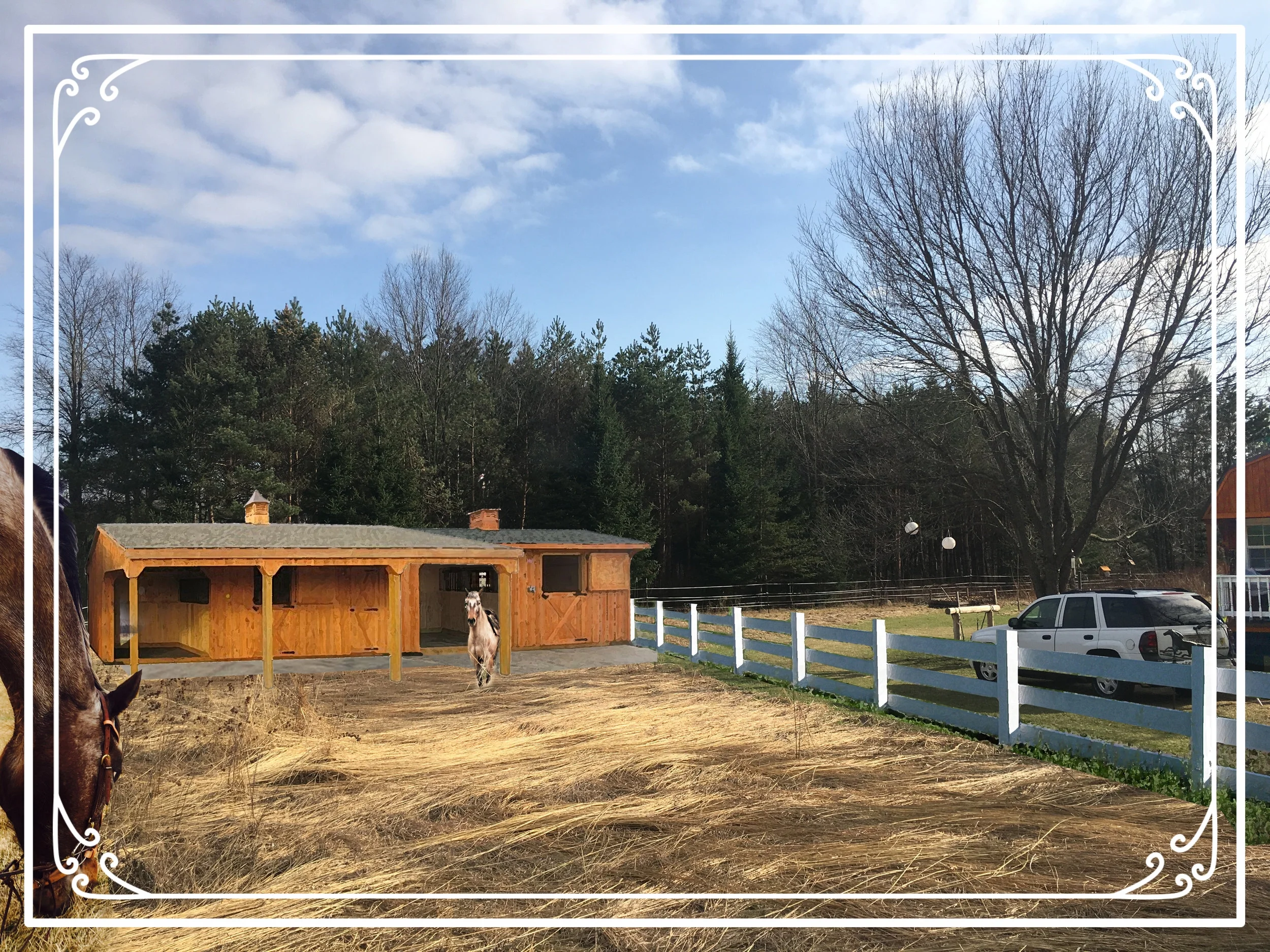 WE PUT THE FIRST 3 WALL HORSE STABLE IN...