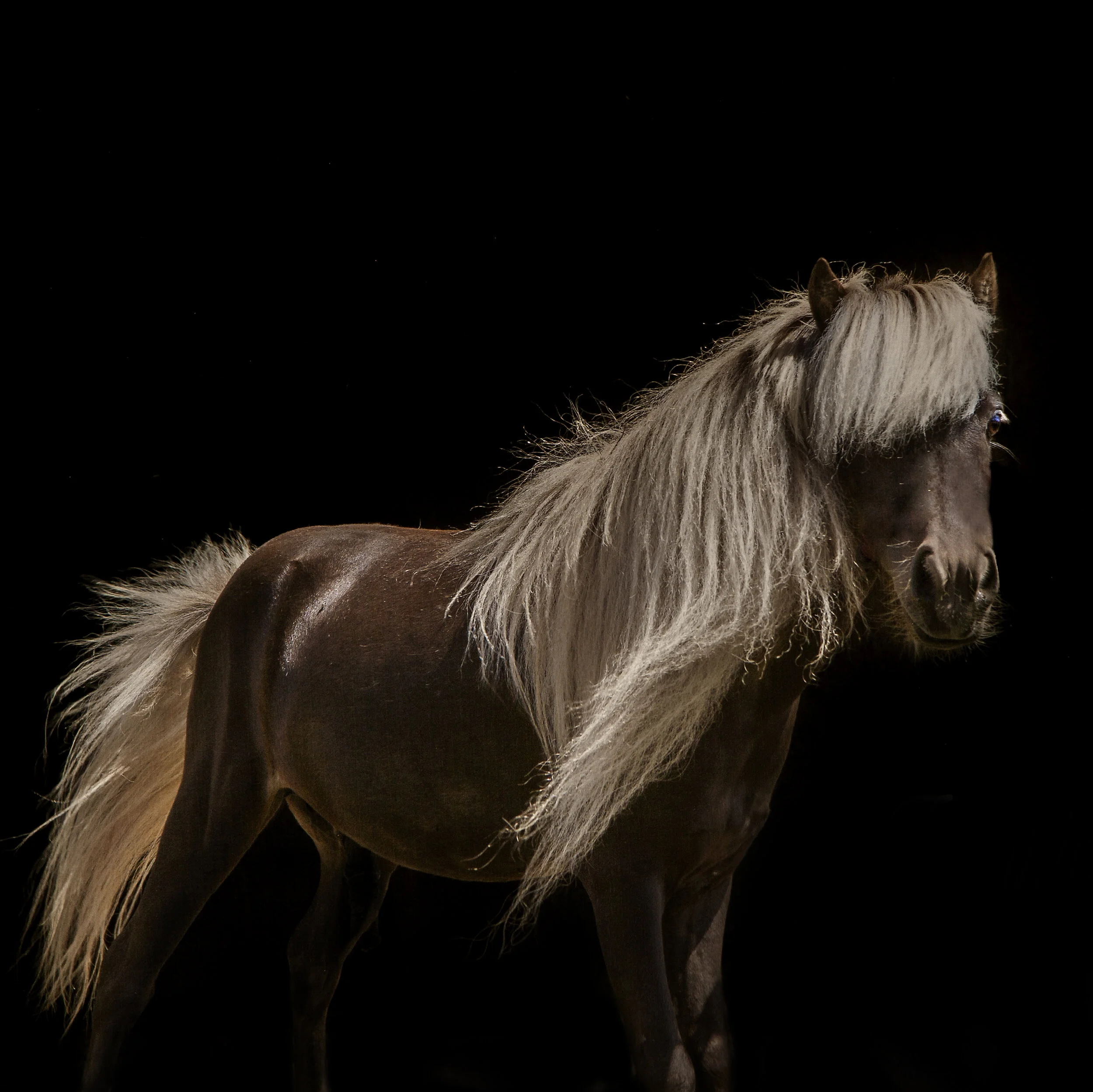 Diane:”I had tears in my eyes when I saw my little boy captured so beautifully and handsome.”