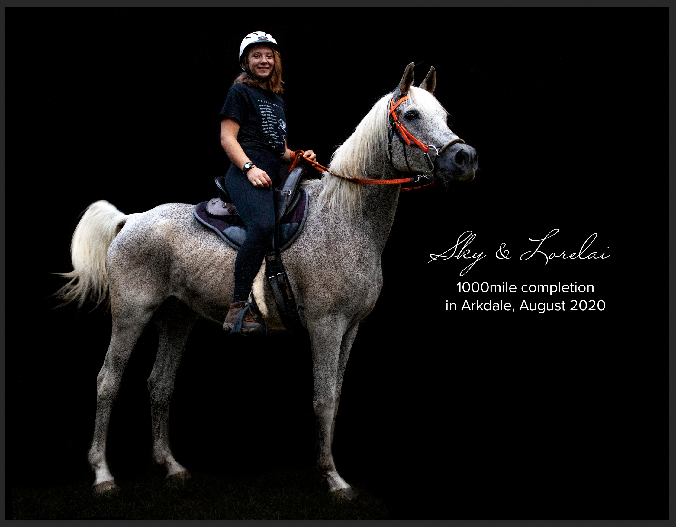 Lynn Haase: ”Wow! I like all of your artwork, but the one riding is very striking!” 