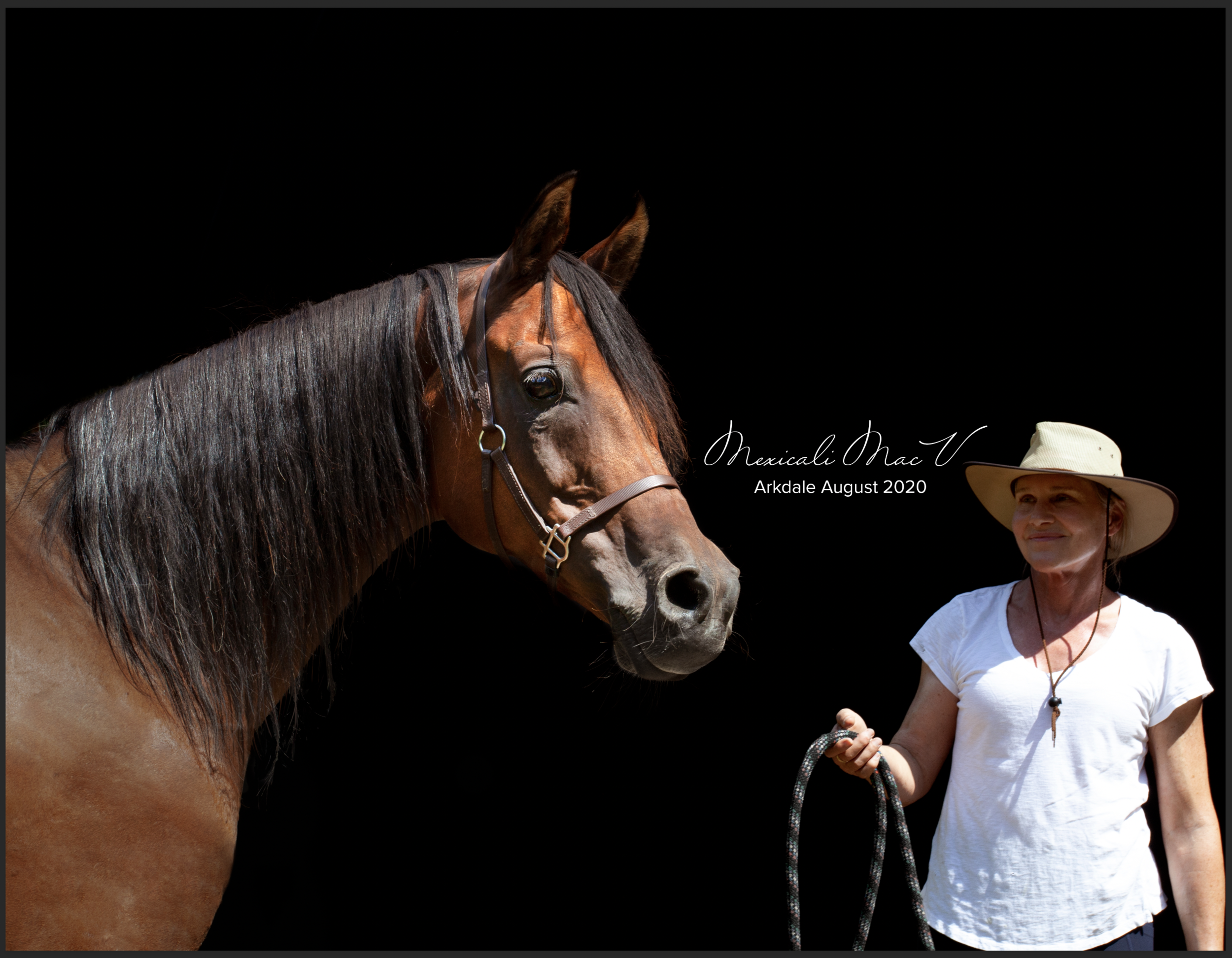 Deb Schroeder: ”Thank you for the amazing pictures. I’d love to purchase them from you. Mexi looks striking. Wonderful to see how you caught him."