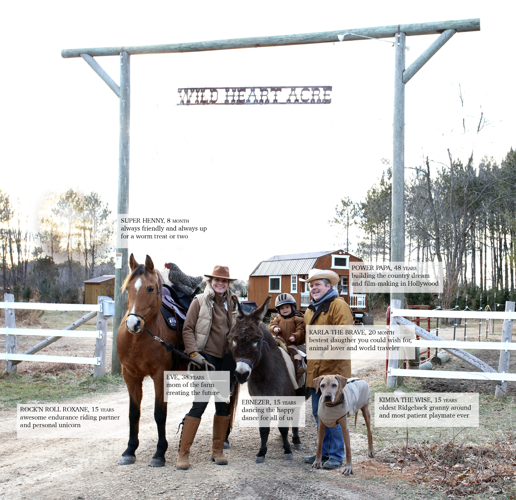 Screen Shot 2021-01-03 at 3.58.33 PM.png