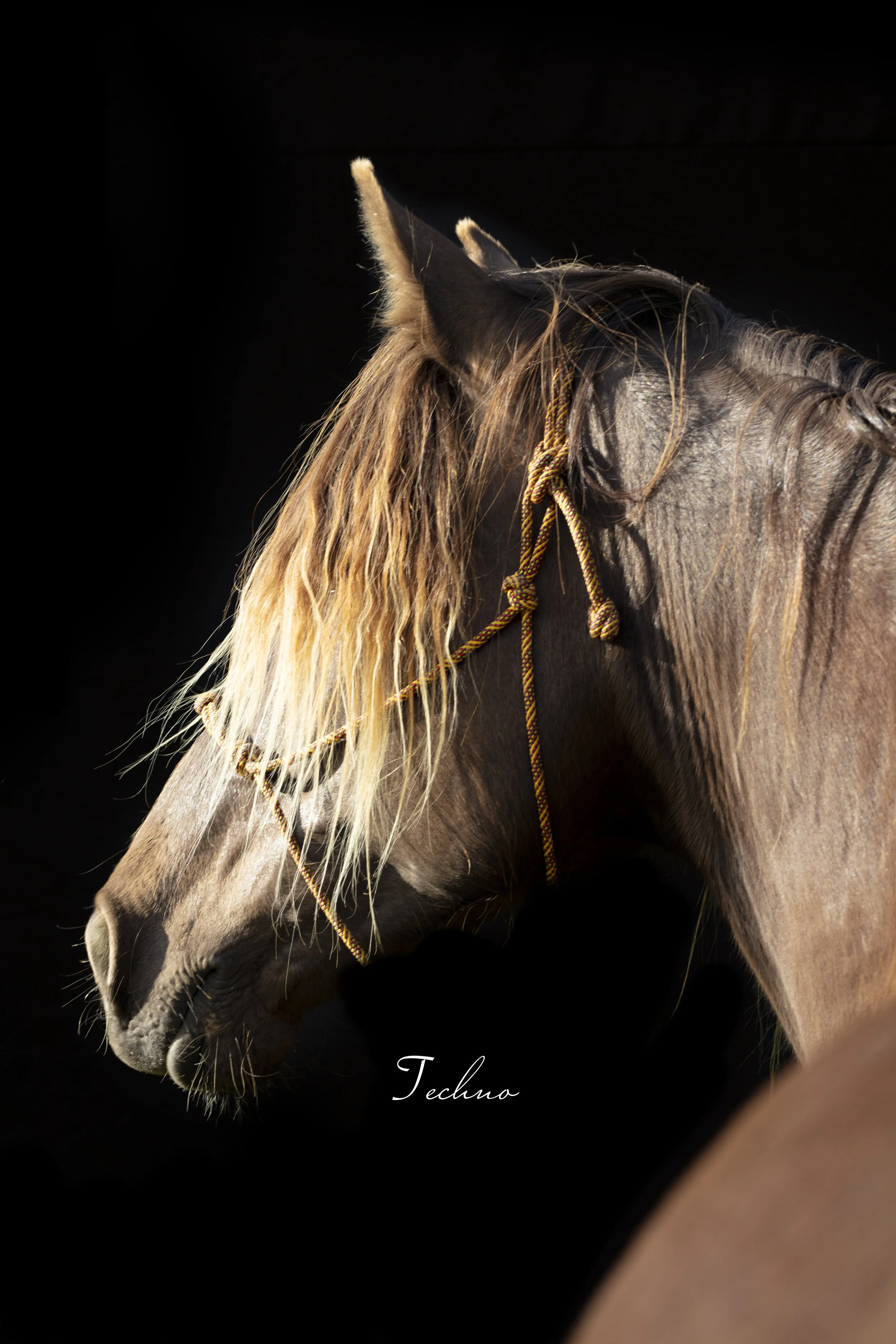 Jill Greunke: "Great shots of my boy - he looks so handsome!"