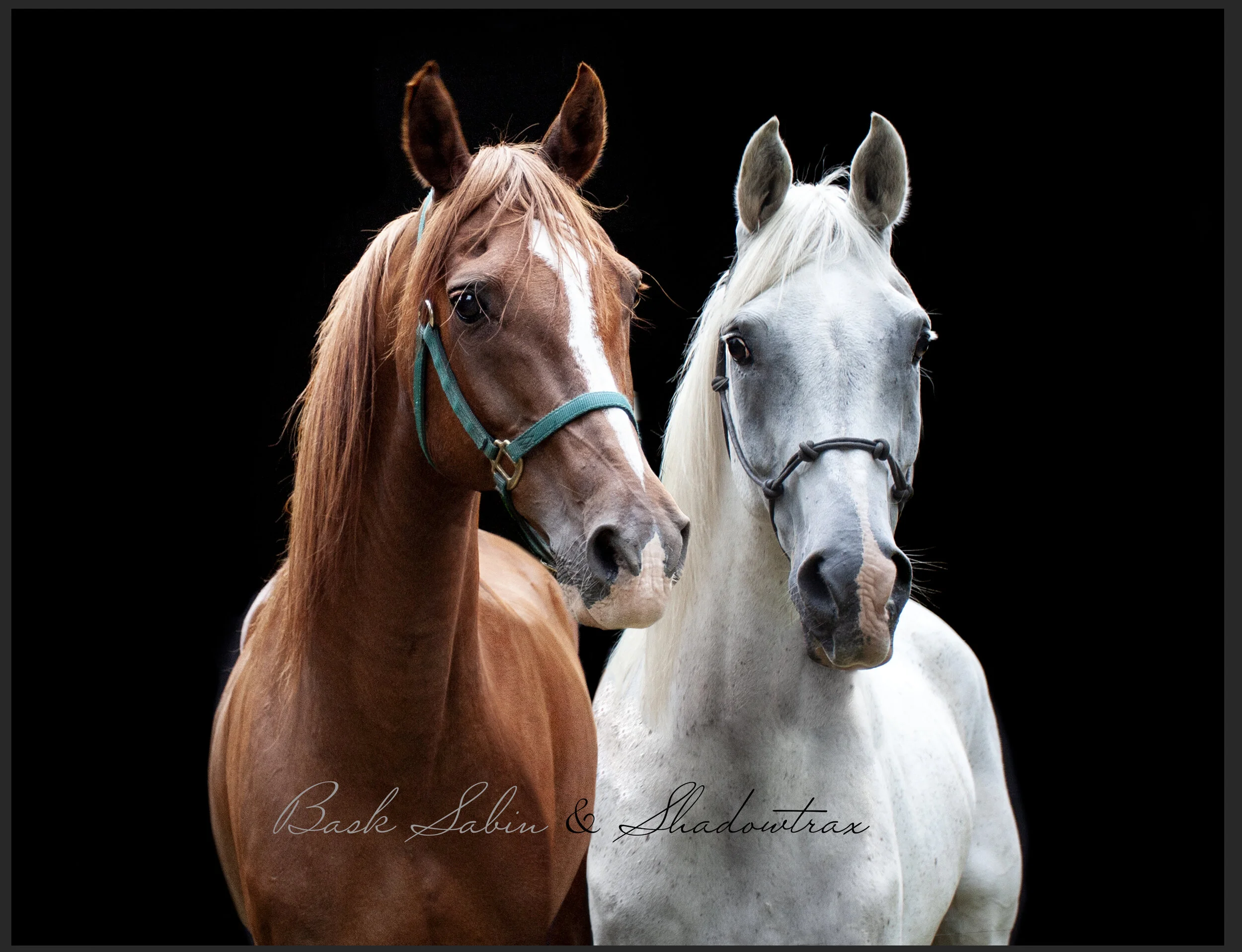 Linda Jacobson: "Absolutely beautiful, you have a gift!”