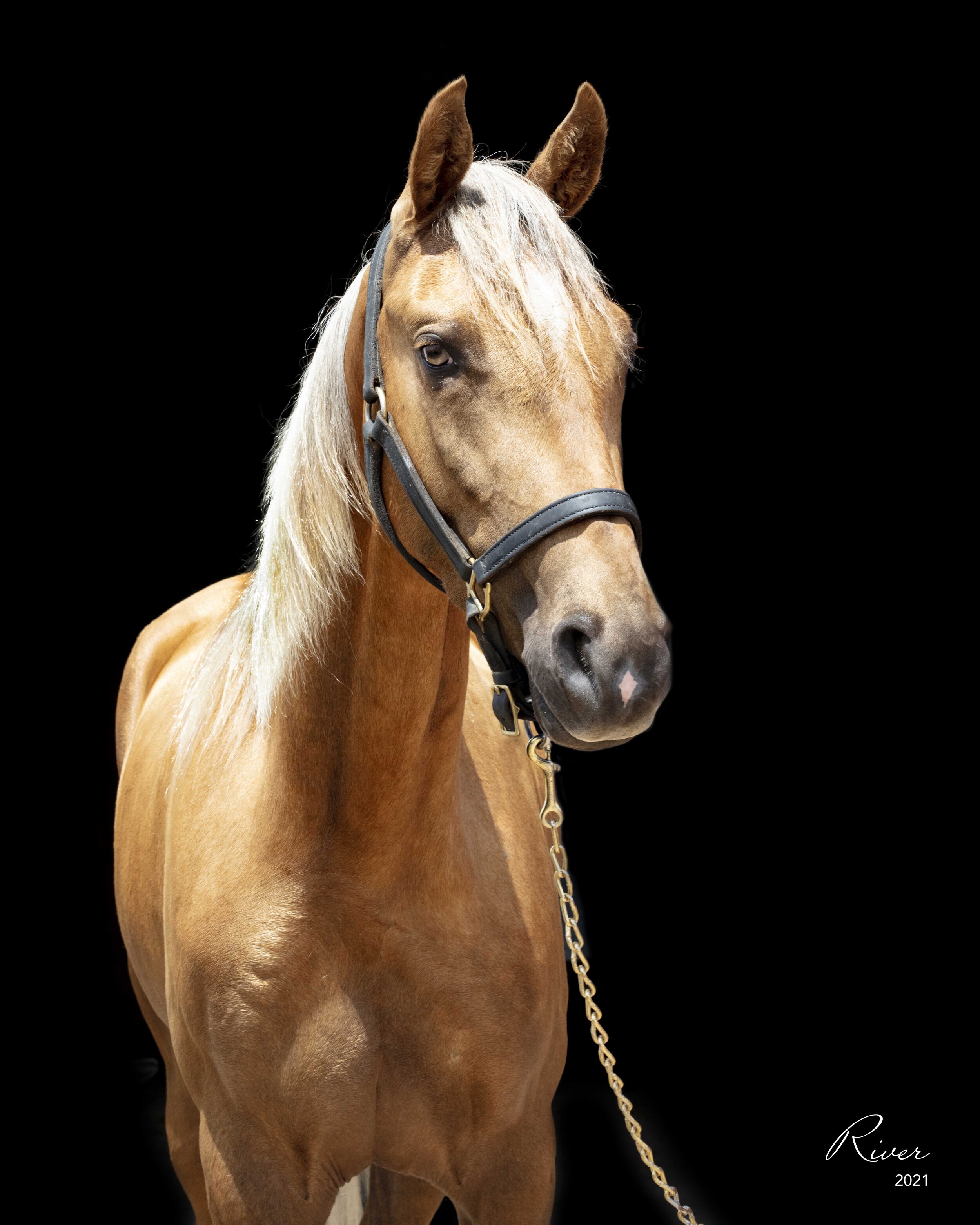 Brenda: "I truly enjoyed working with you, I sure hope our paths cross more, you are a wonderful person." 