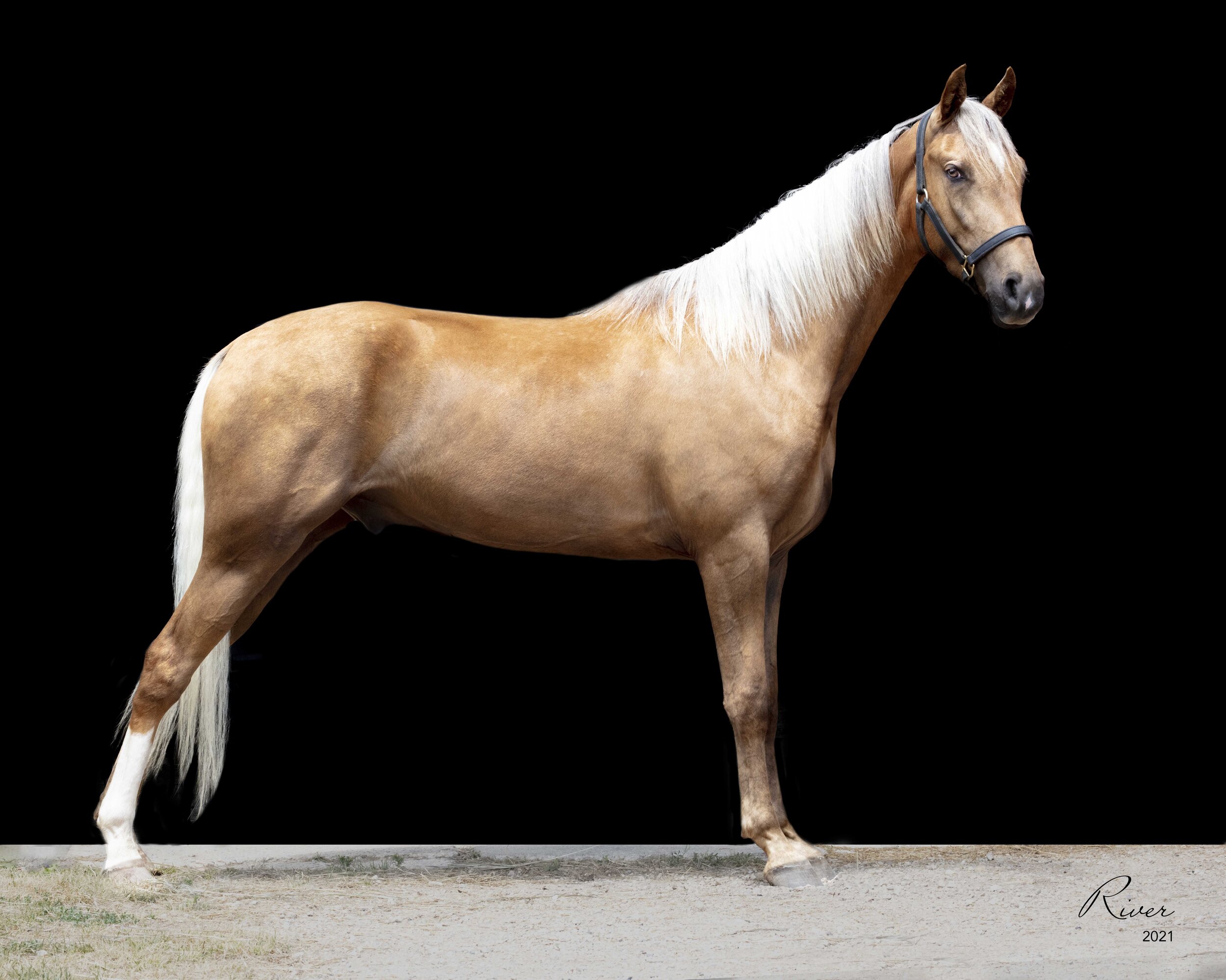 Brenda: "I love your pictures and I am looking forward to showing them off."