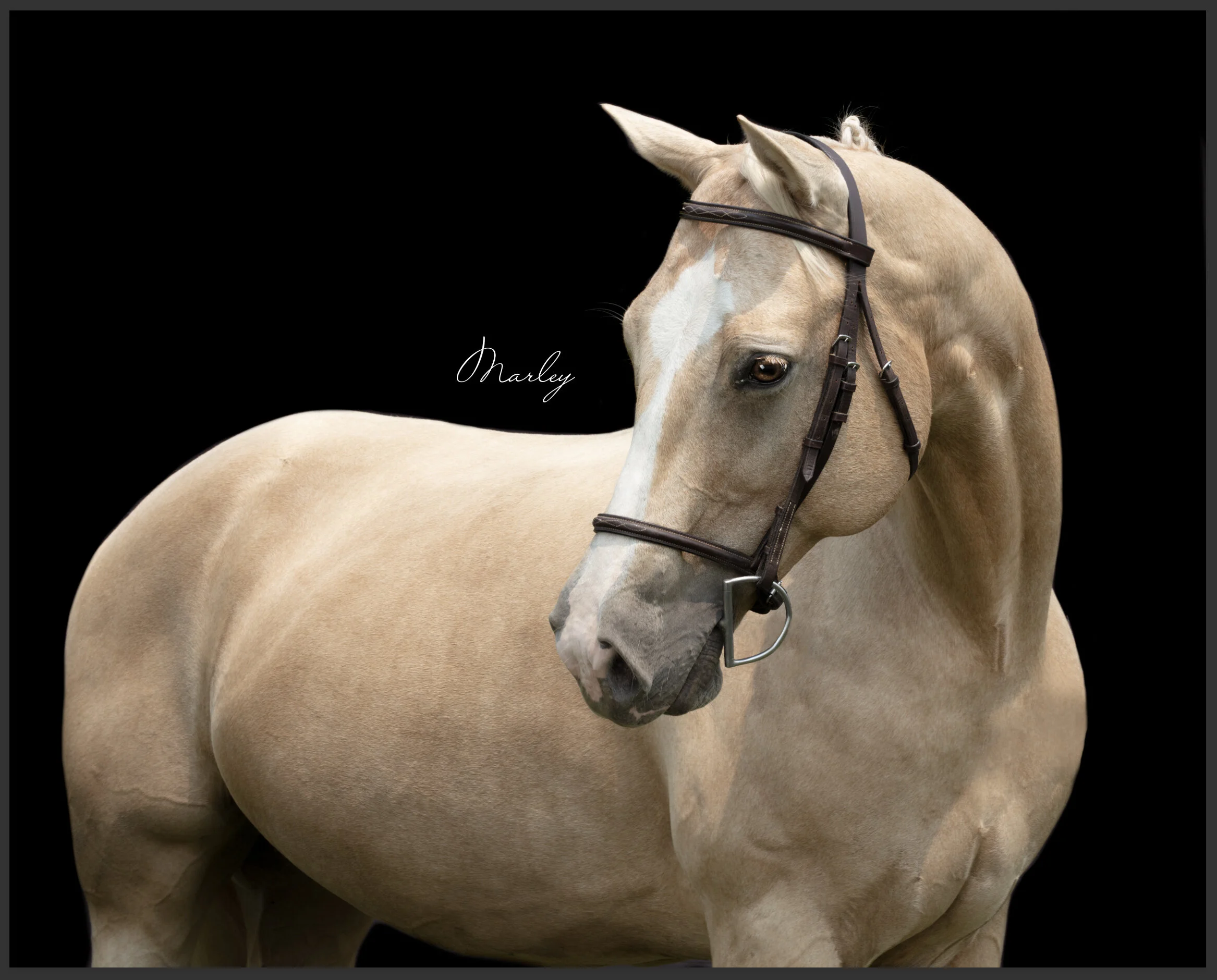 Kim: thank you! Thank you so much.