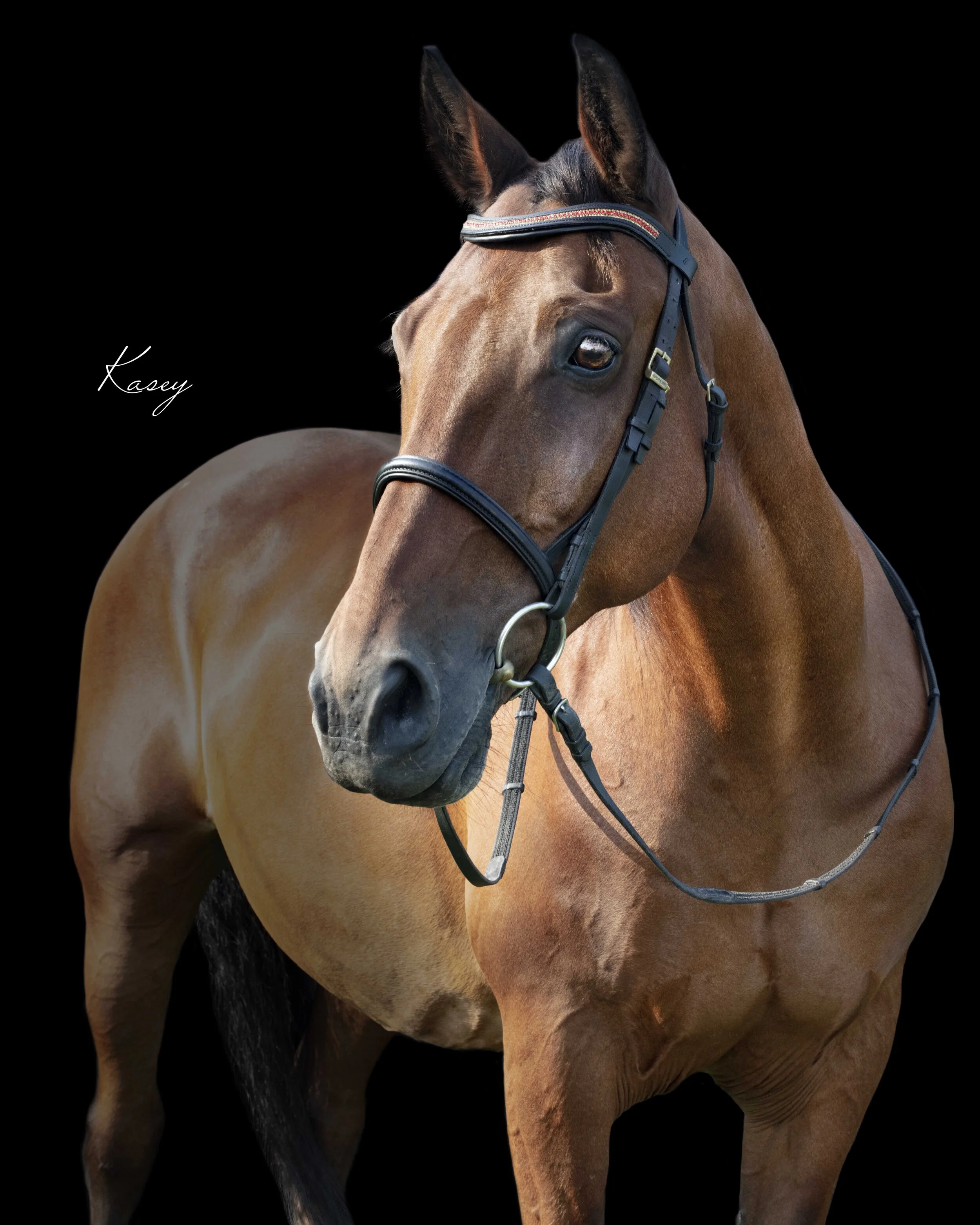 Kim: I will treasure these forever. When can we do more portraits? I just love them so much.