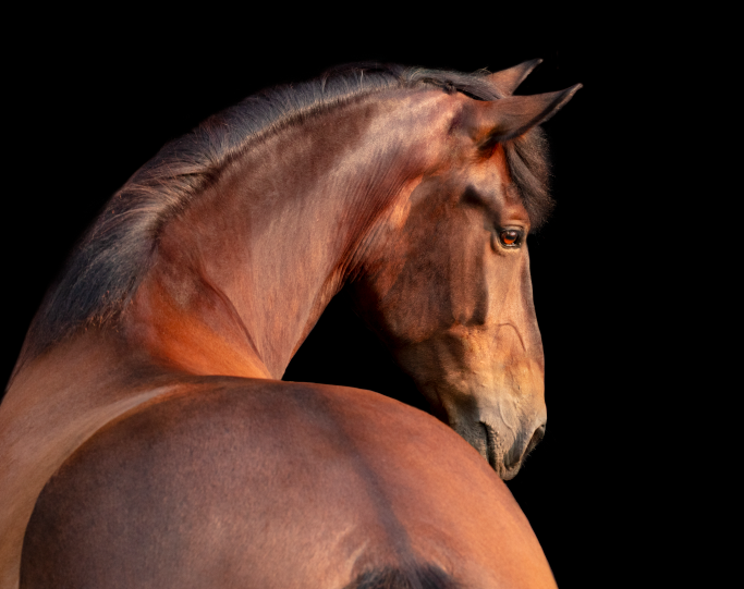 Screenshot 2021-08-07 at 8.36.35 AM.png