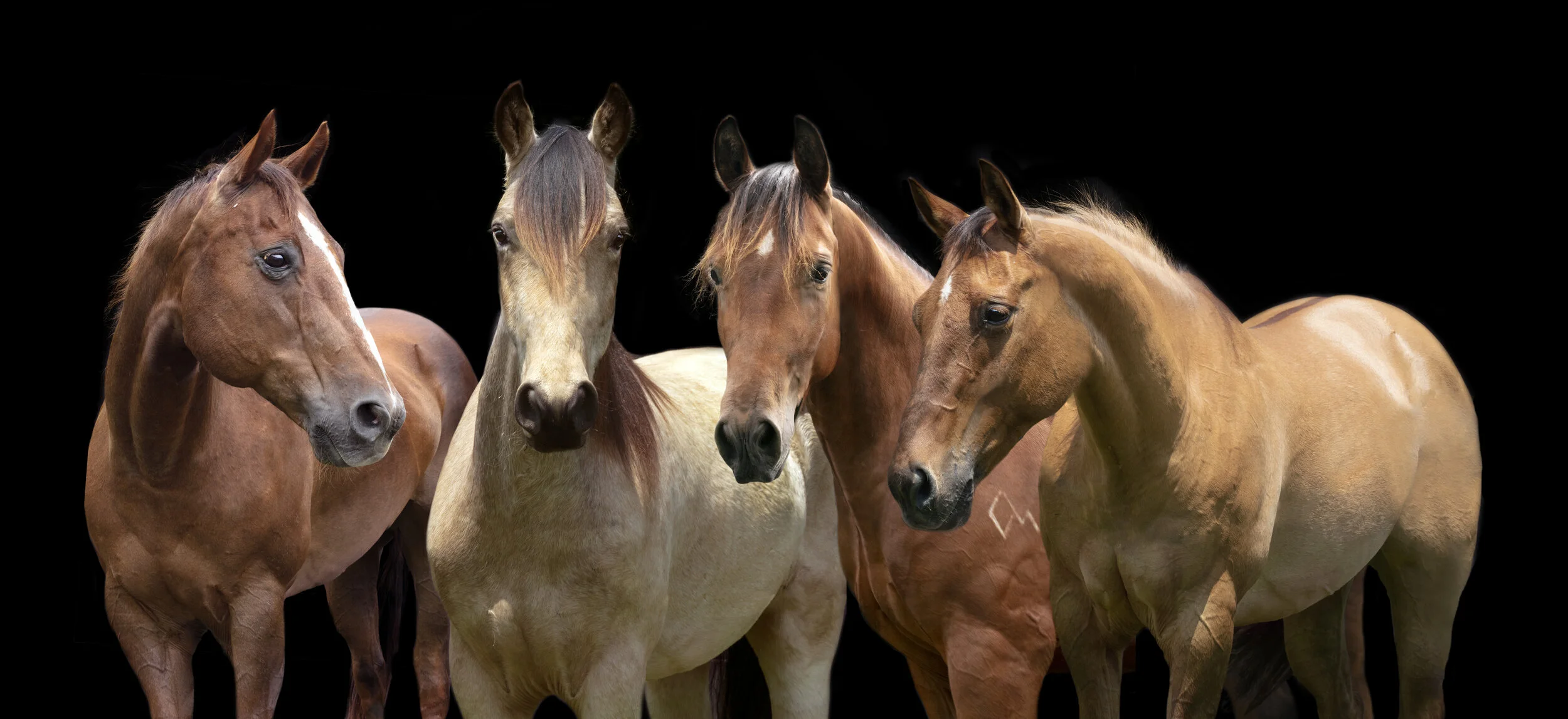 Kristi Ramsey: this will be the center piece of our living room wall.