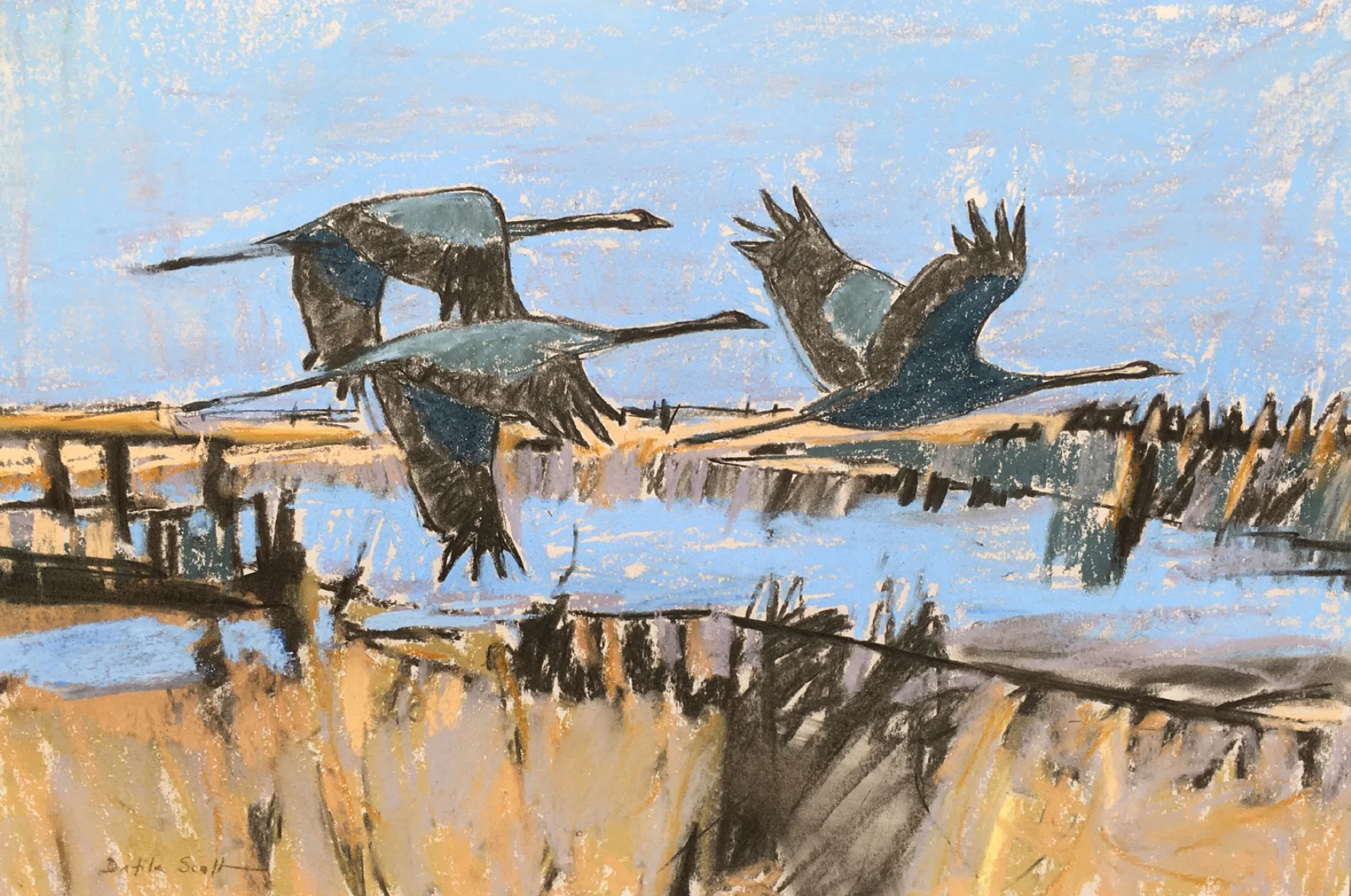 Dafila Scott - Cranes over the Fen