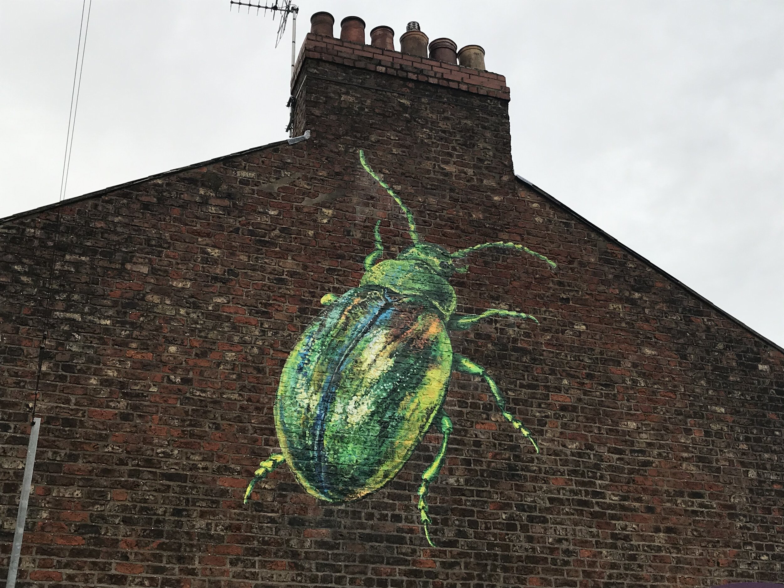 The Jewel of the North - in York