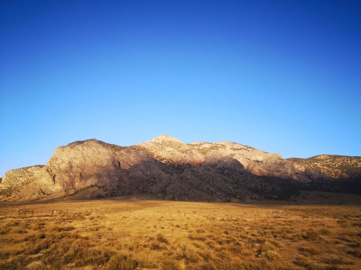 cover22kl.jpg