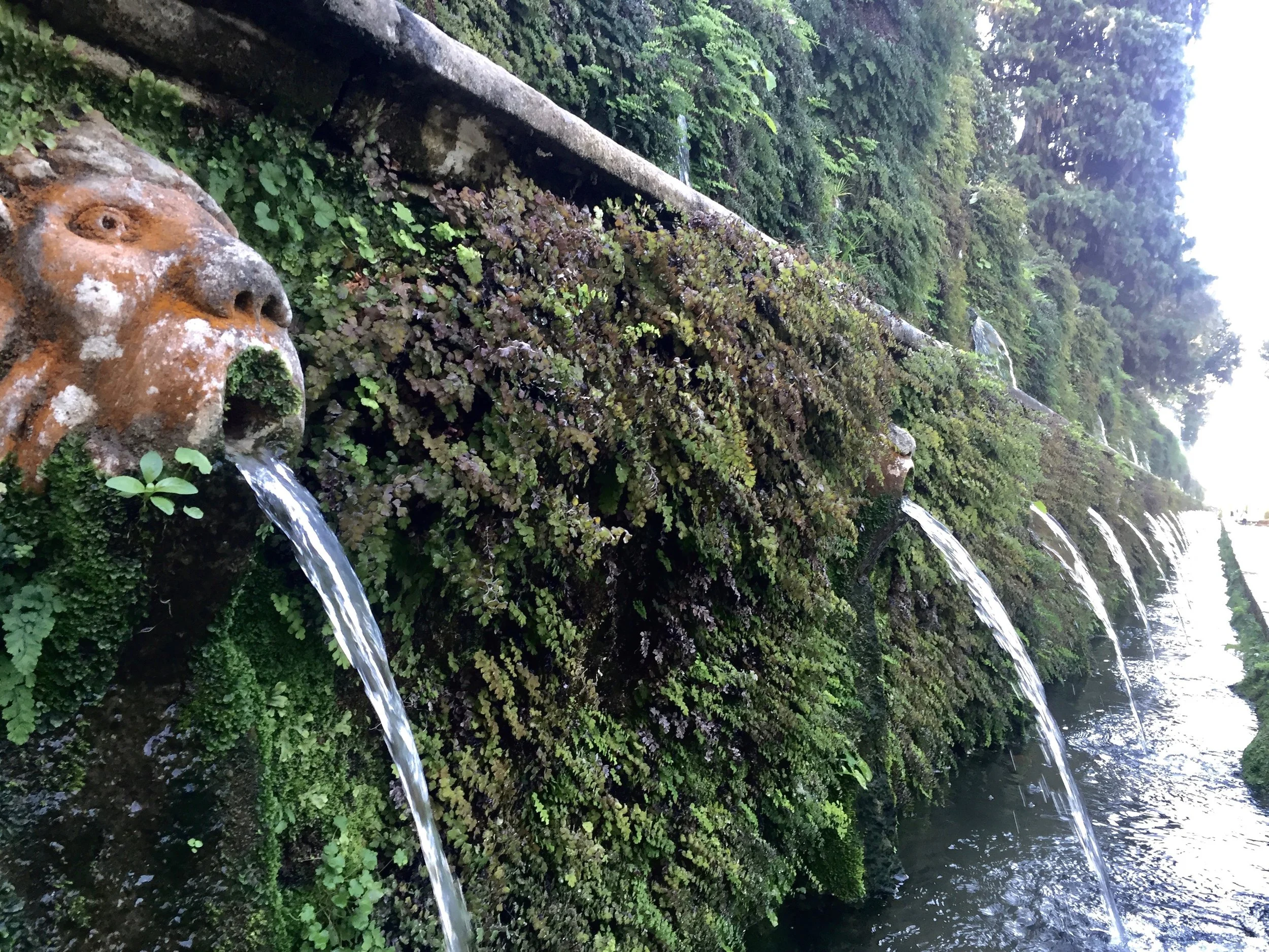 Fountains of Villa d'Este photo by L.D. Van Cleave