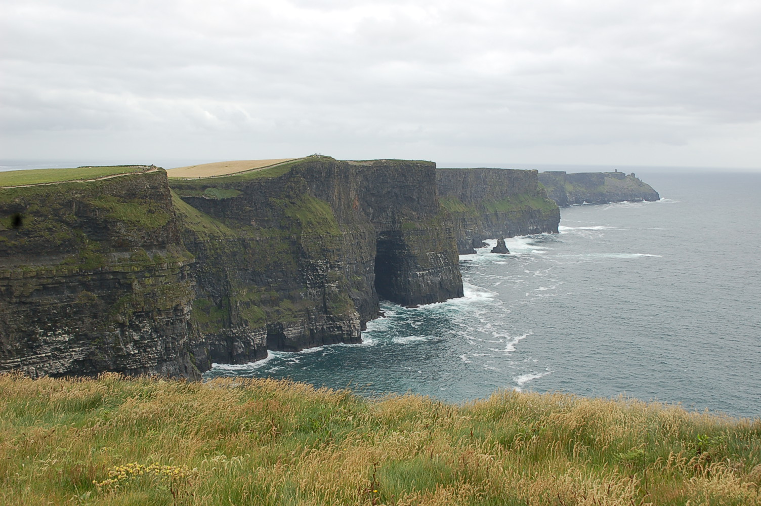 Cliffs of Moher    photo by L.D. Van Cleave