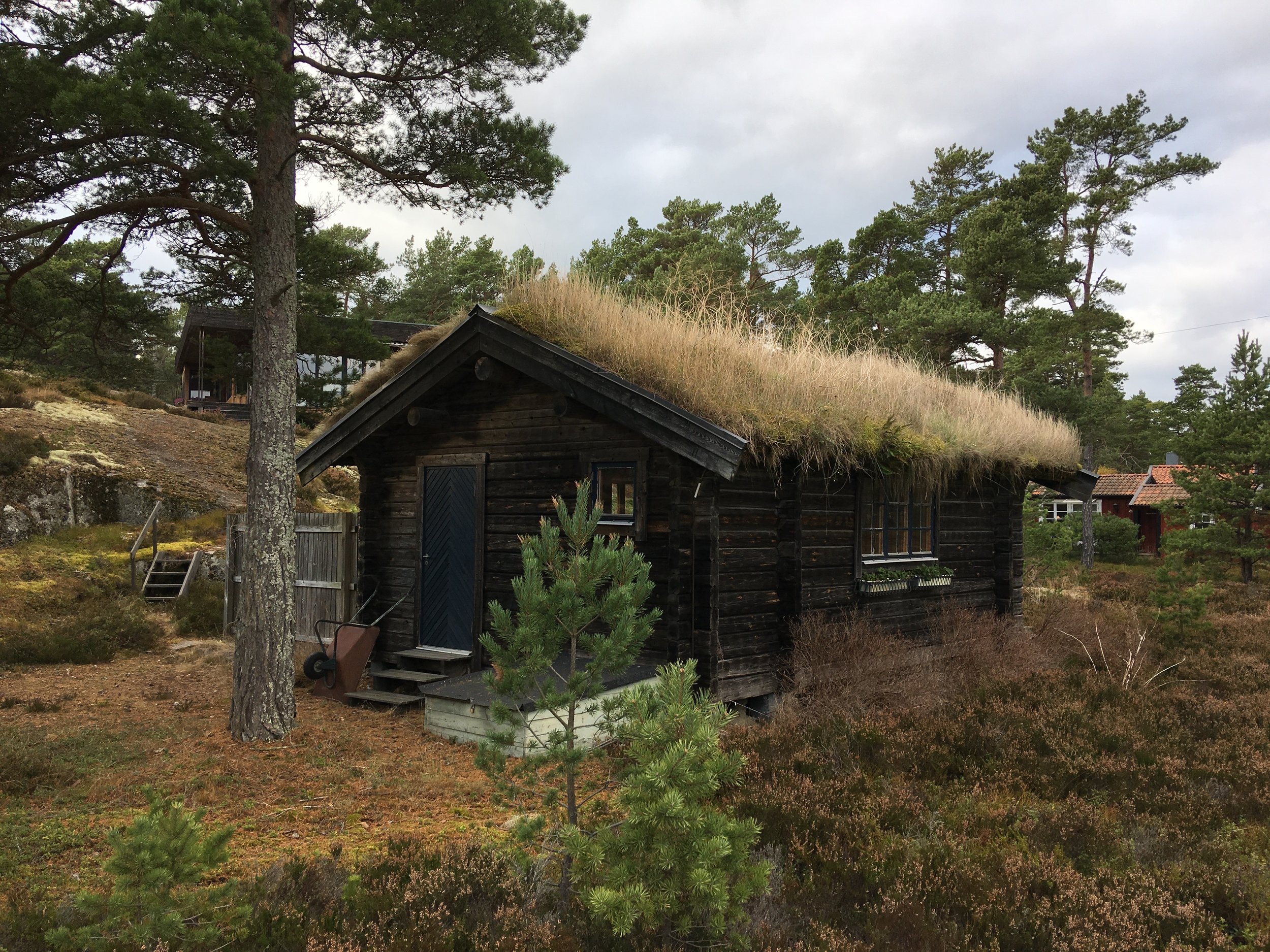 Cozy Home    photo by L.D. Van Cleave