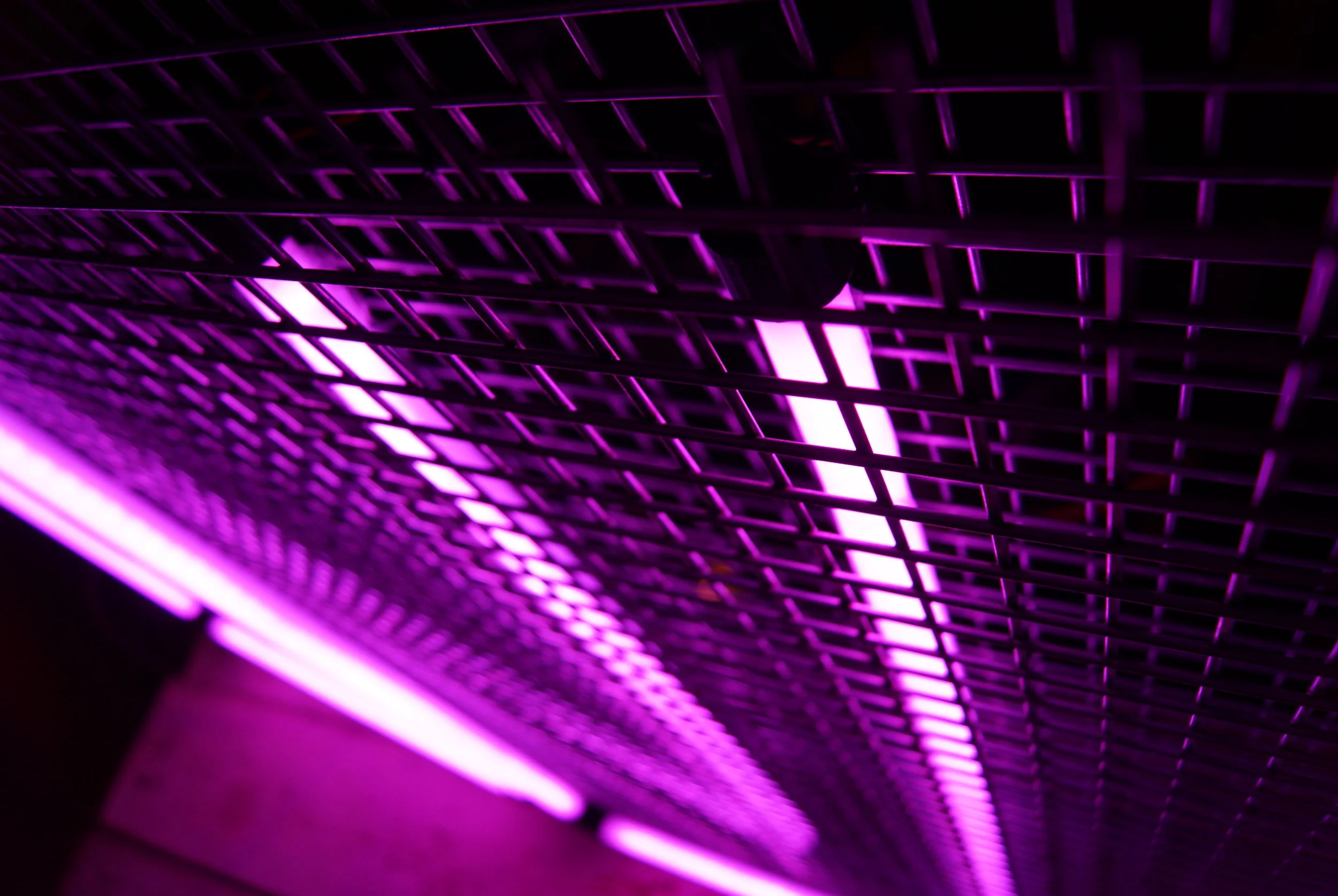 NEON SIGNS