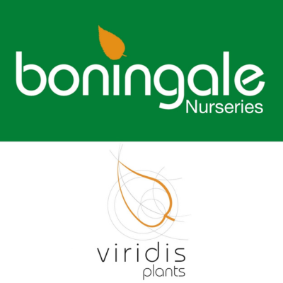 bonningale_virdis_logo.png