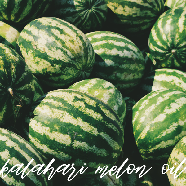 Kalahari Melon Oil Promo 1a copy.jpg