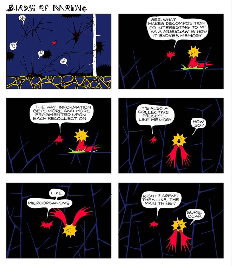 from Birds of Maine, an ongoing comic by Michael Deforge.