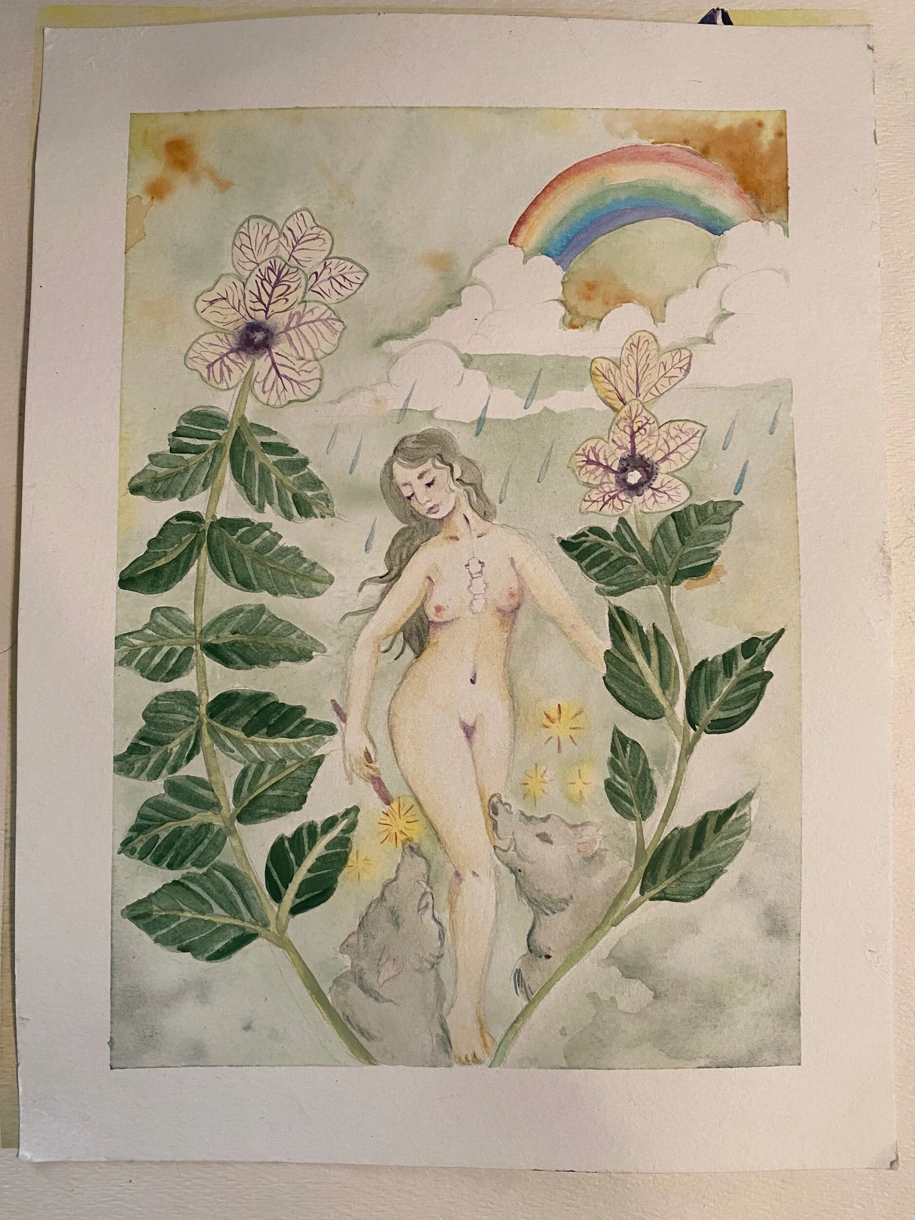 AA8AEDD4-DDCB-490F-9AF9-D26E91A98C58