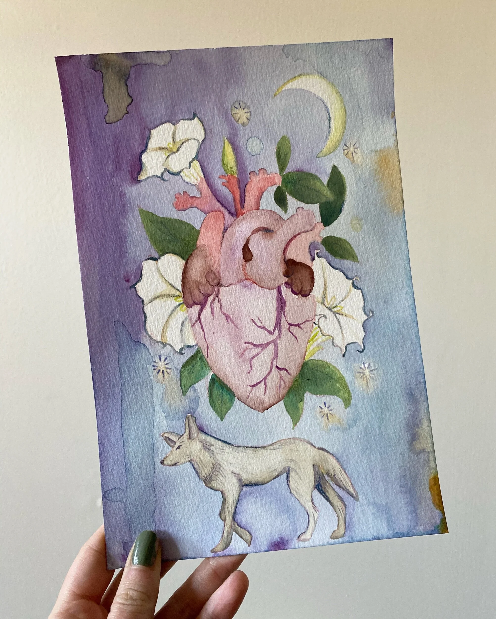 E8BDFA4C-50ED-4252-BD5E-1FE68DF257FC