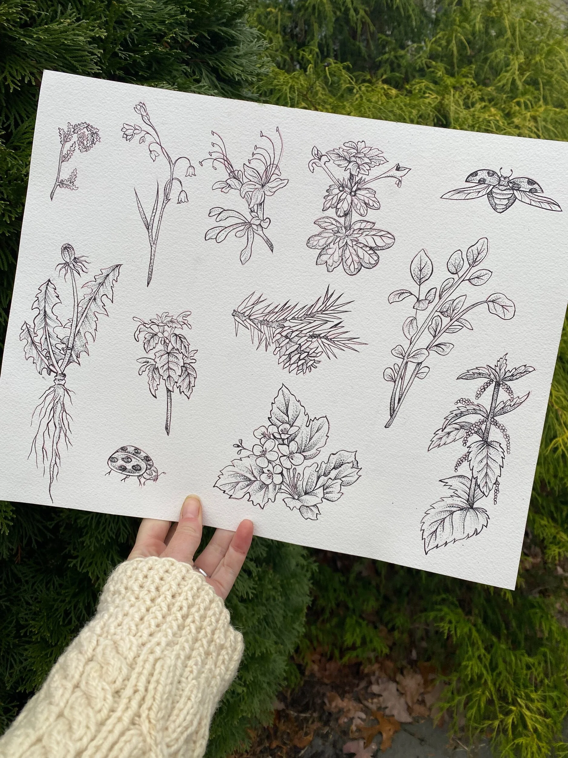 5D1C7EBF-9363-42F5-BF9F-C7FD2A6F951F