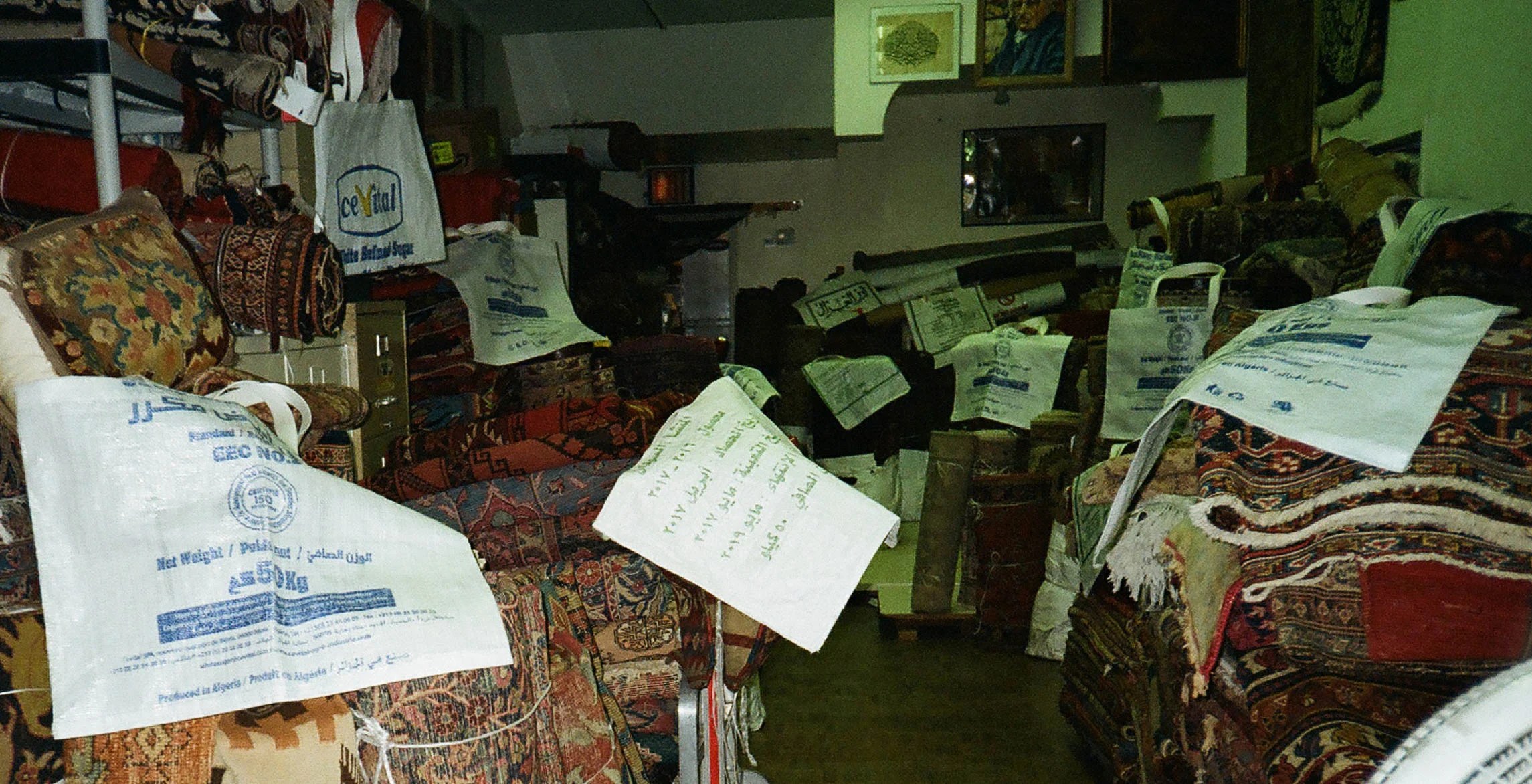 77150024.jpg