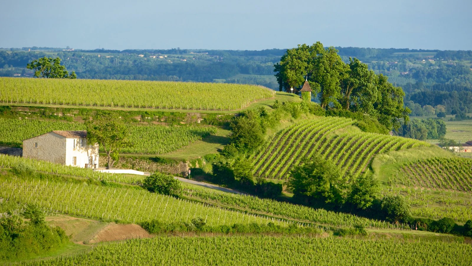 131681-Bordeaux-Wine-Region-Area.jpg
