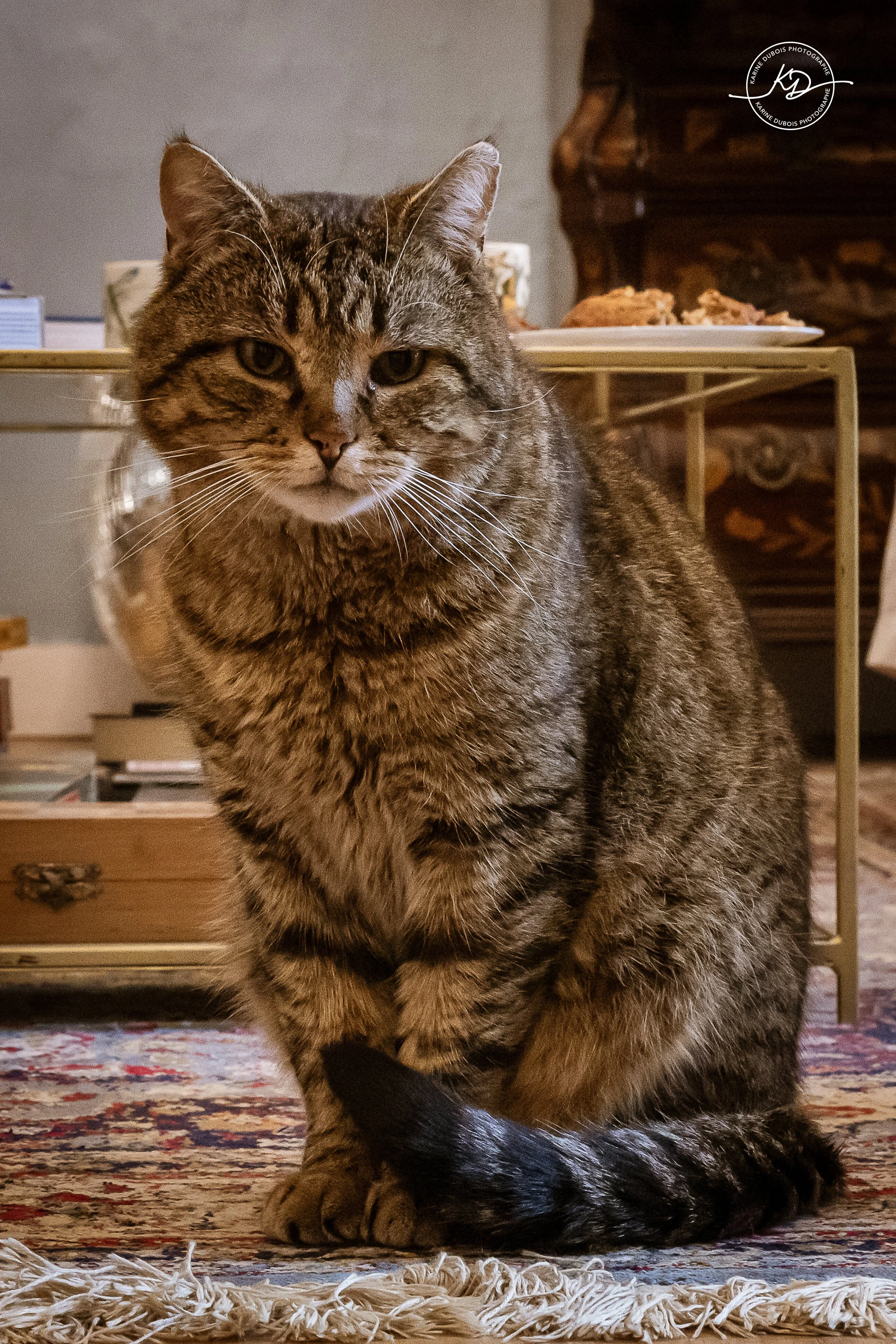 paint-party-PAUSE (12).jpg