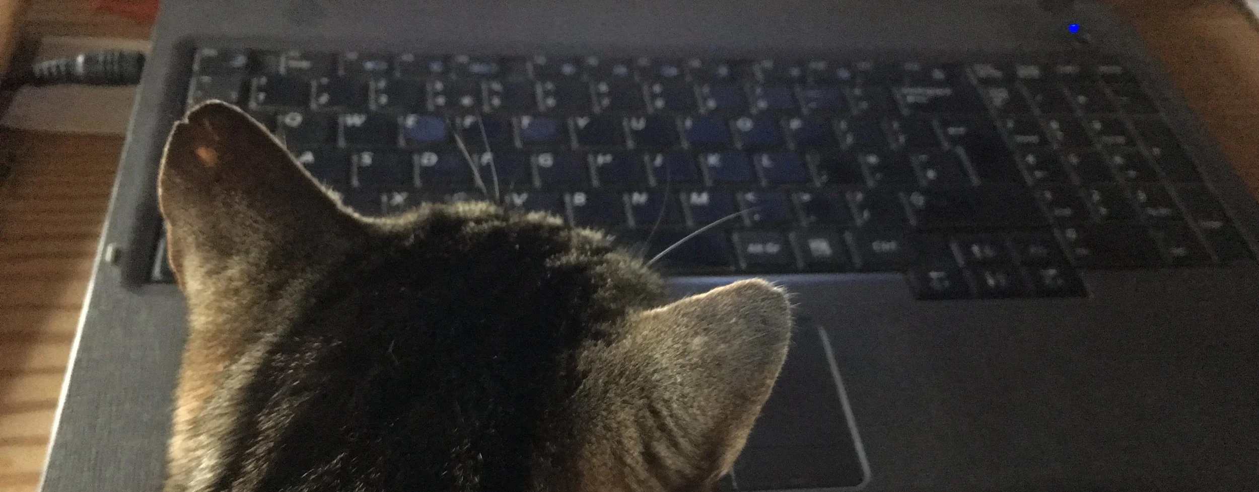 How to focus on writing your first draft. 