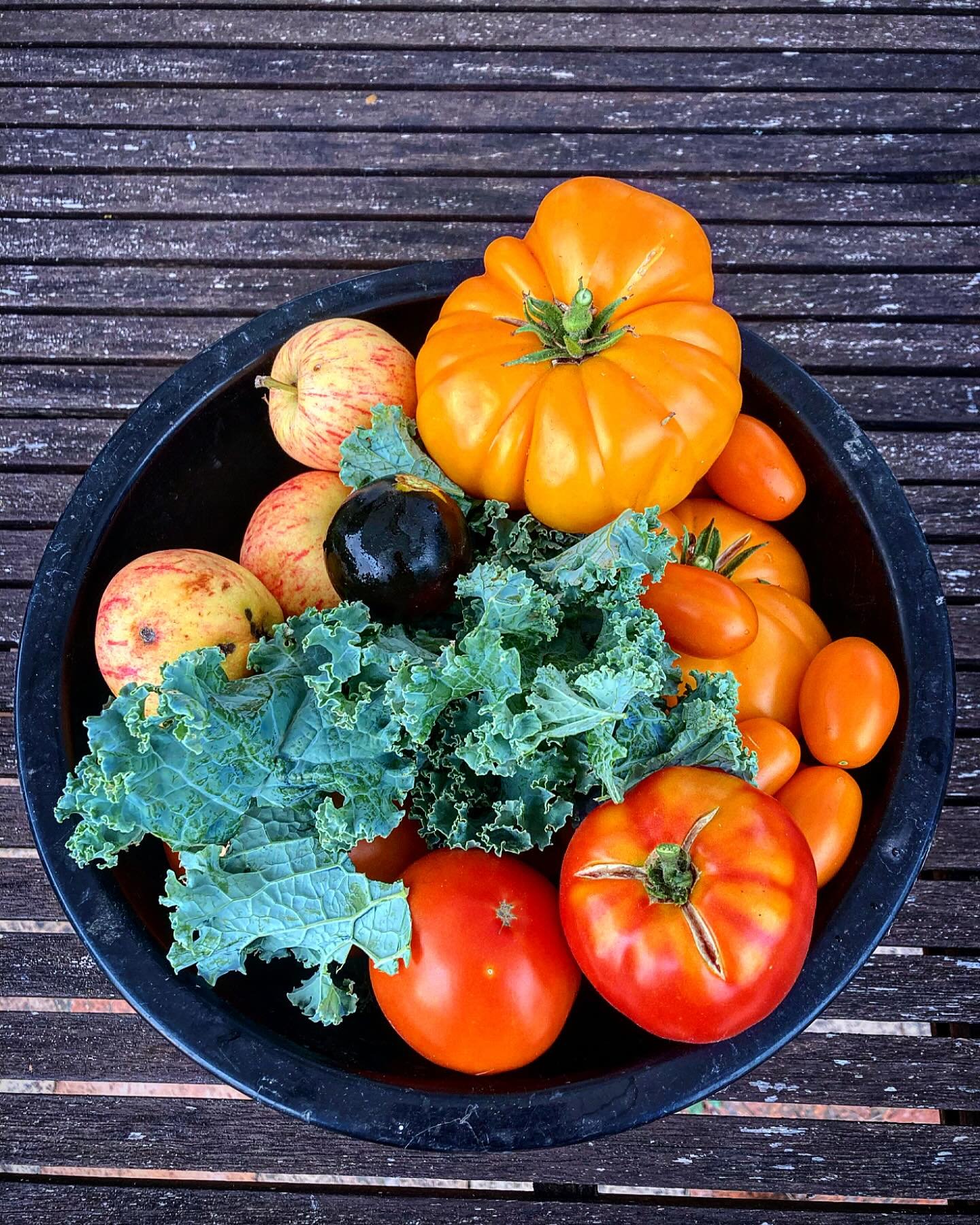 This morning&rsquo;s harvest under a smoky wildfire sky. And my first ever ripe black tomato. Has anyone else grown them? They seem to take ages to ripen 🧐

#vegetables #blacktomatoes #gardeninglife