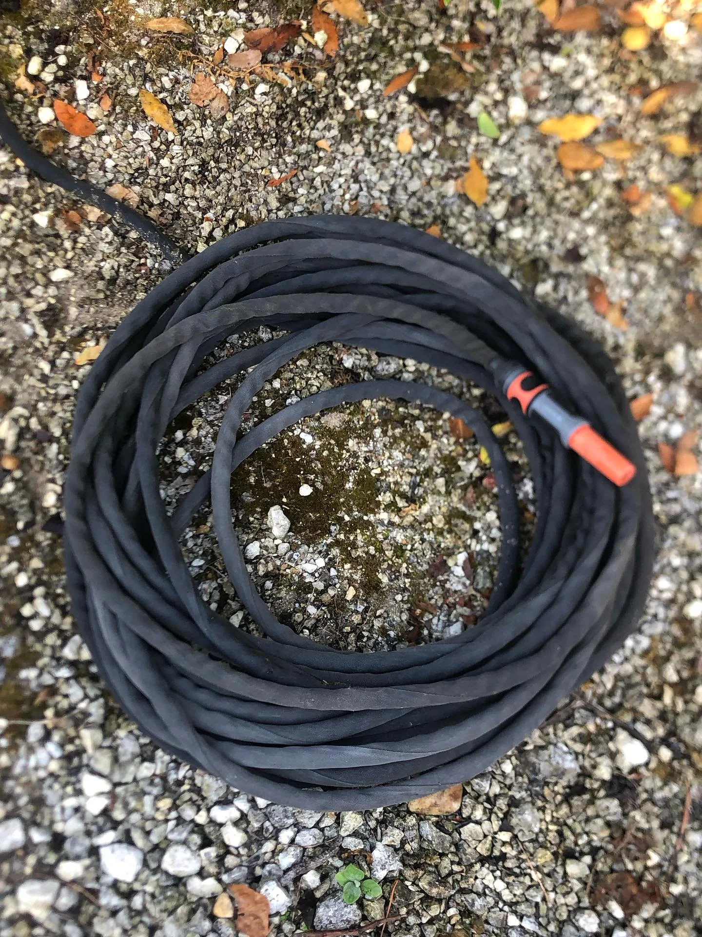 I do love a neatly rolled hosepipe. 

#gardenlife #hosepipe