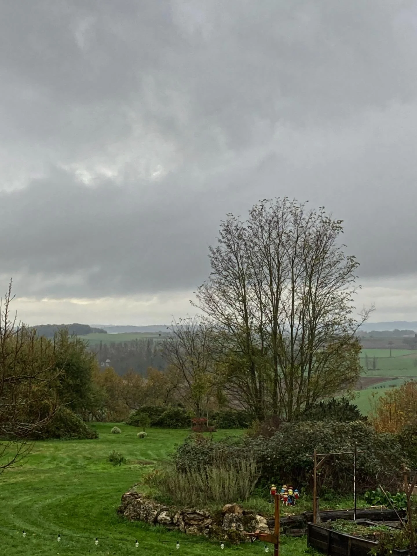 So I made it official: Wet Weather Books is my imprint for stories born on soggy, quiet, no-gardening days. 

Two books so far: my non-fiction Uncomplicated Gardening and quirky debut novel Spaghetti Head. 

Bring on the rain clouds! 

#WetWeatherBoo