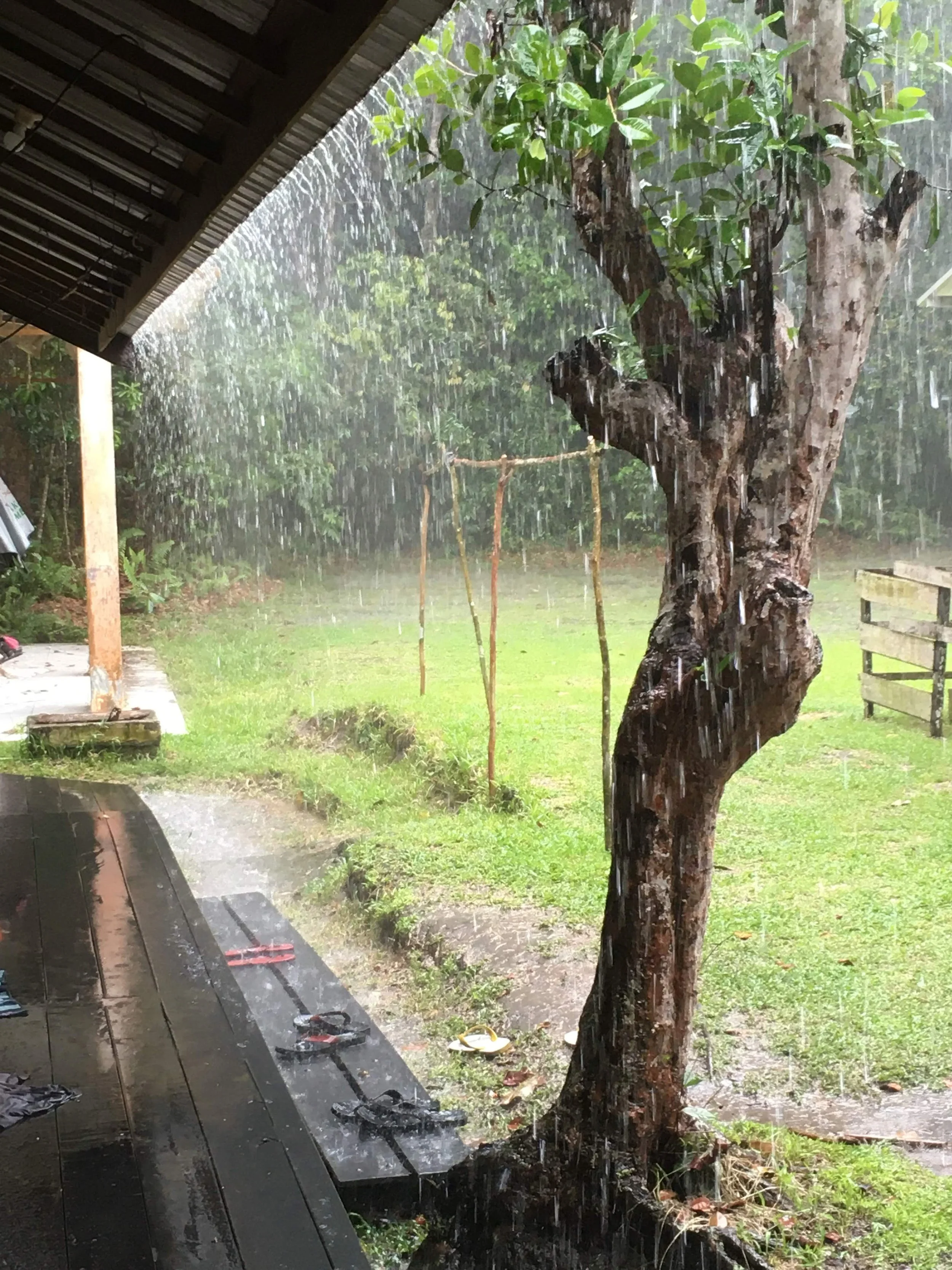 Introducing Wet Weather Books