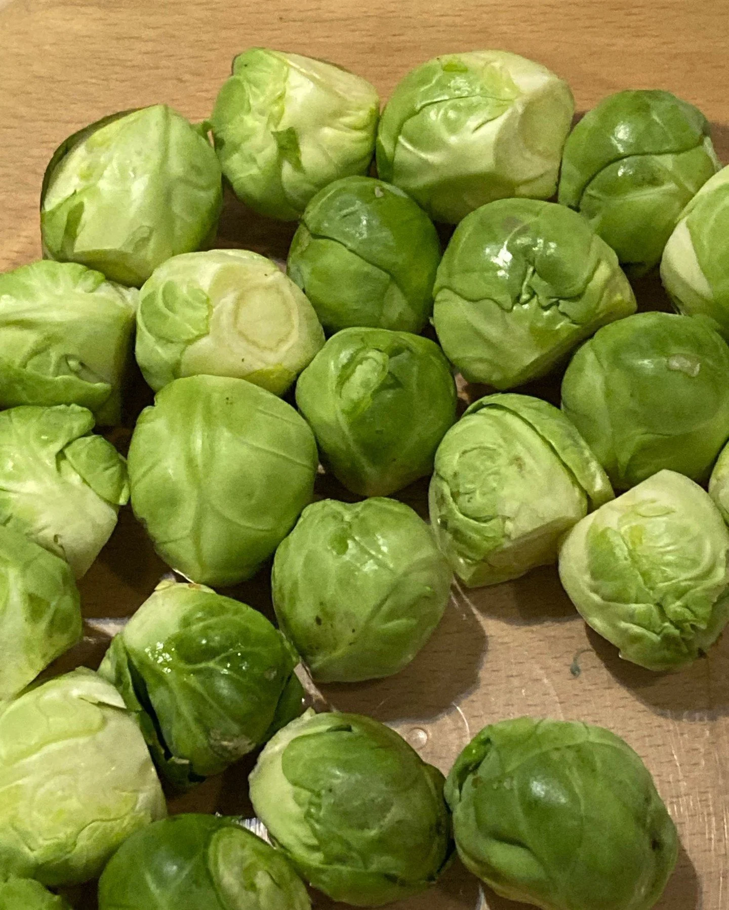 Sprouts in February. Delicious. Well it makes a change from pruning!! 😜

#uncomplicatedgardening #growingsprouts #sproutsinfebruary