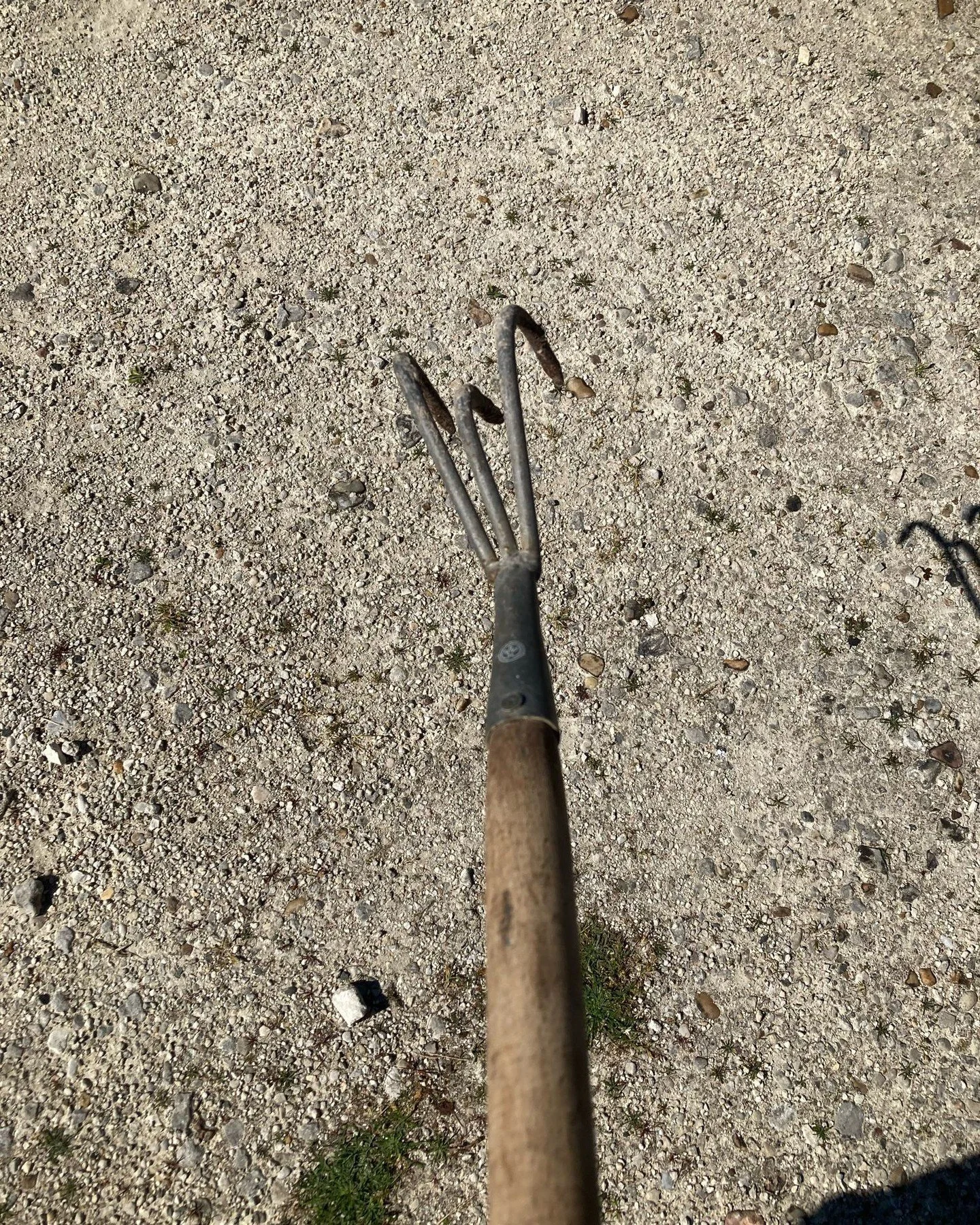 Moss taking over your gravel? Rake it out in no time with this handy tool. 

#mossygravel #rakingtools #uncomplicatedgardening