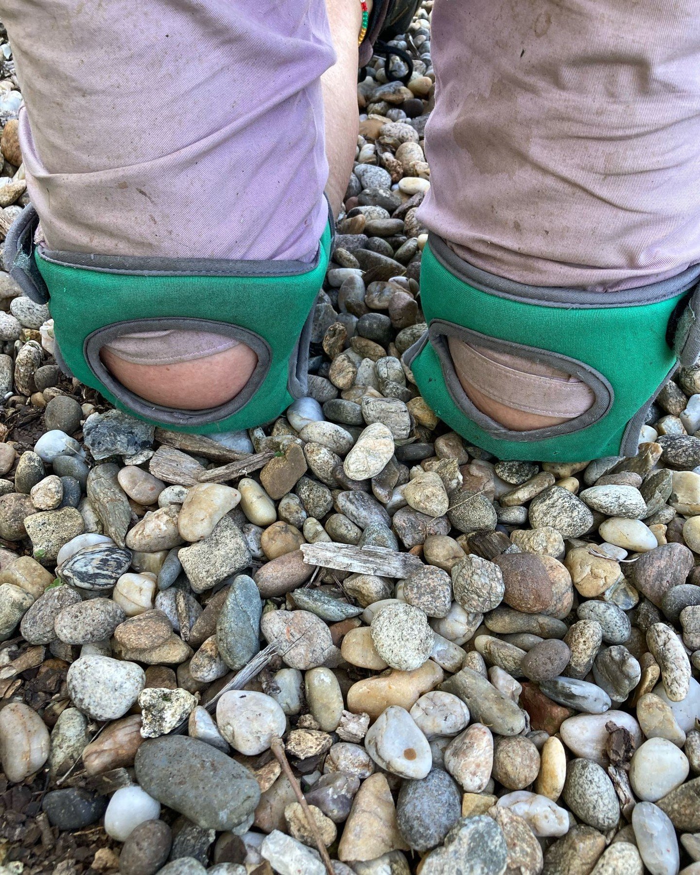 Weeding on any surface is so much quicker and easier with knee pads. 

#gardeningkneepads #uncomplicatedgardening