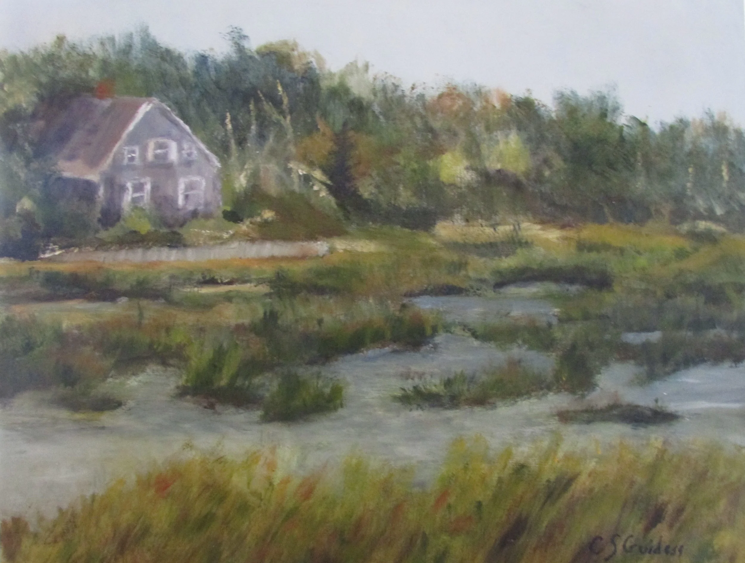 House on the Marsh